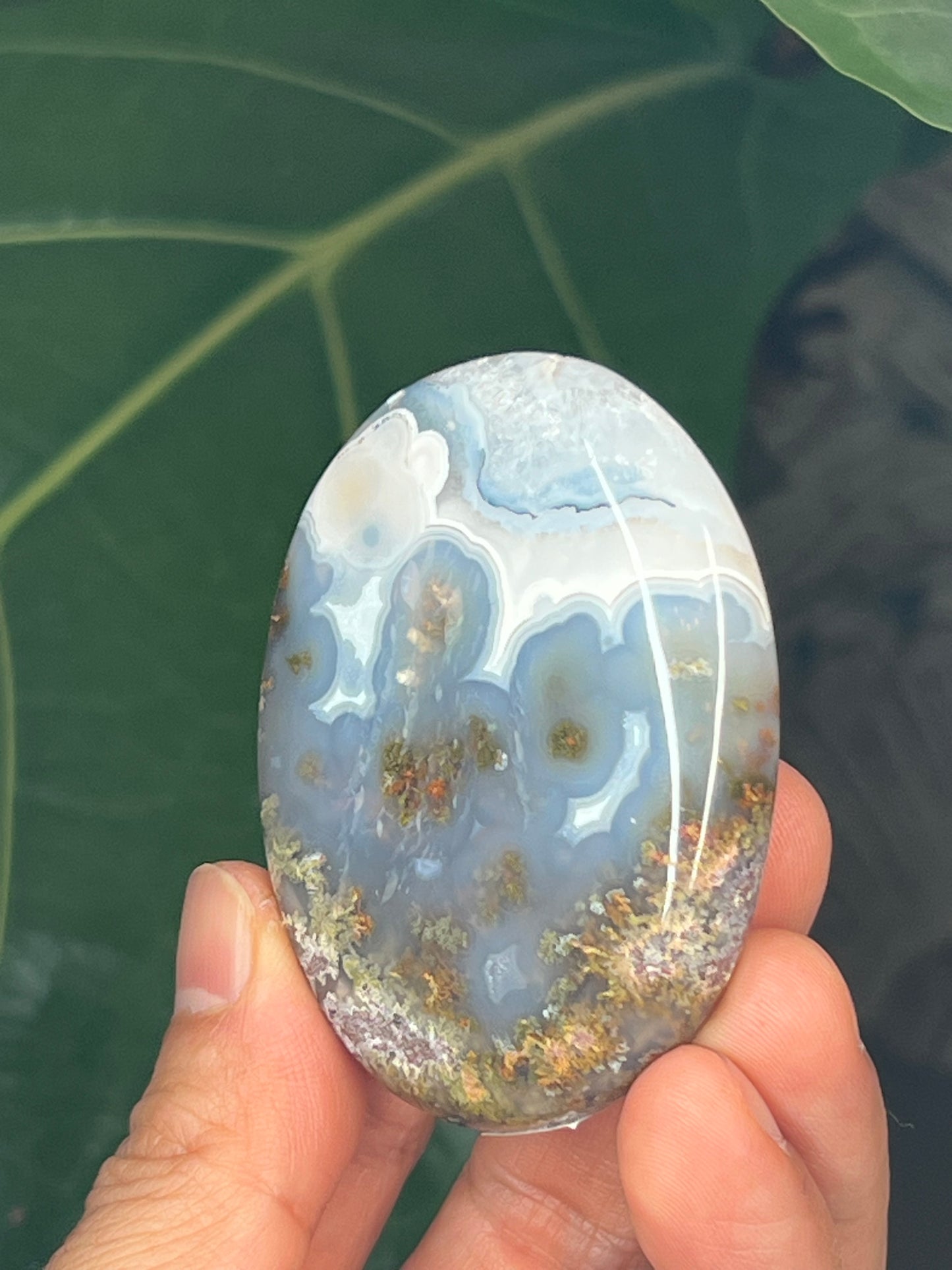 Scenic Moss Agate Palmstone