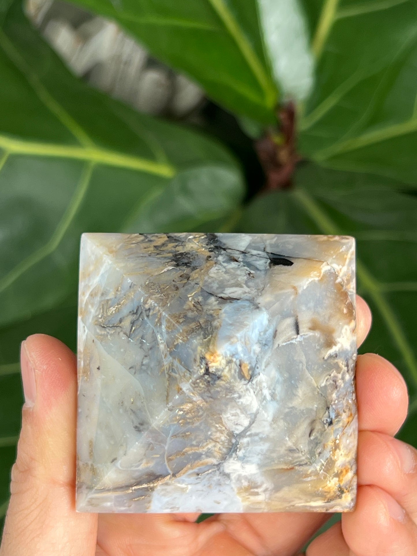 Dendritic Tiger Plume Agate Pyramid