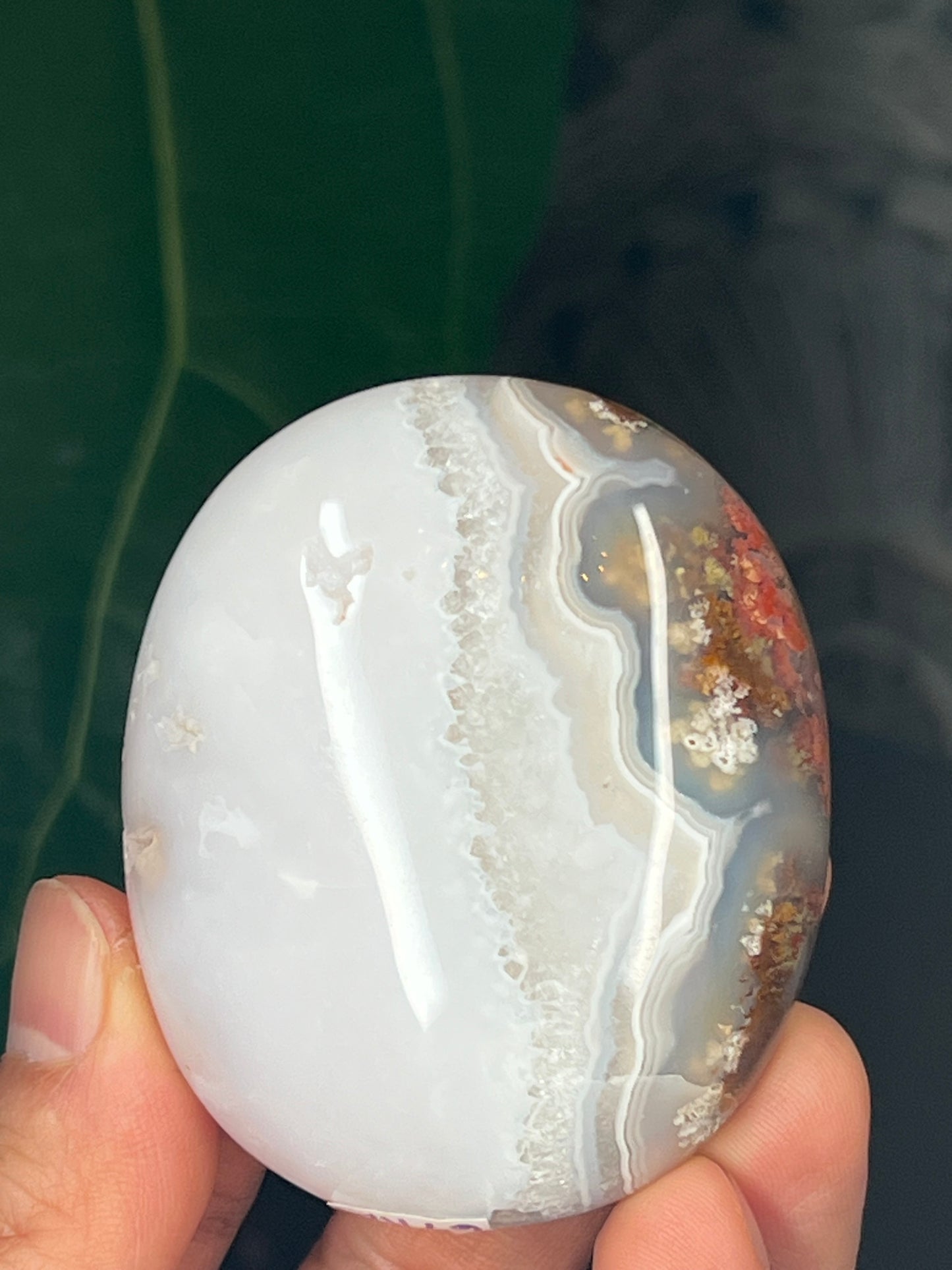 Scenic Moss Agate Palmstone