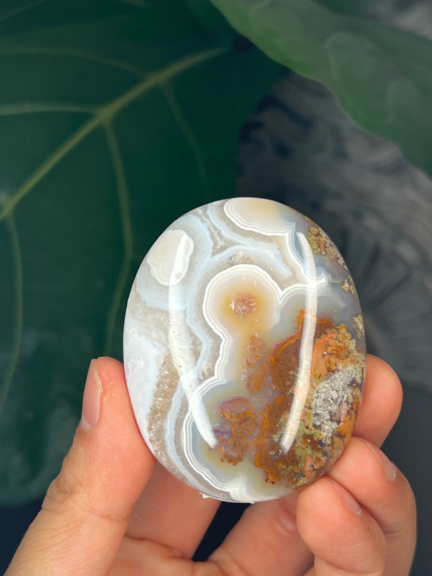 Scenic Moss Agate Palmstone