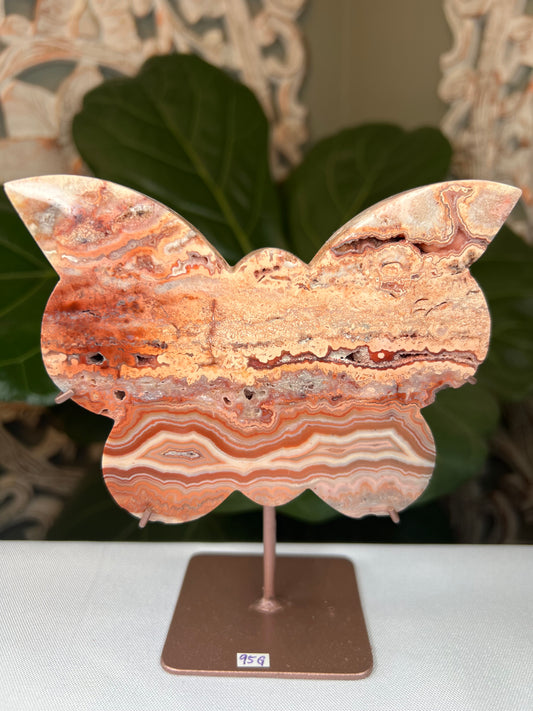 Crazy Lace Agate Butterfly