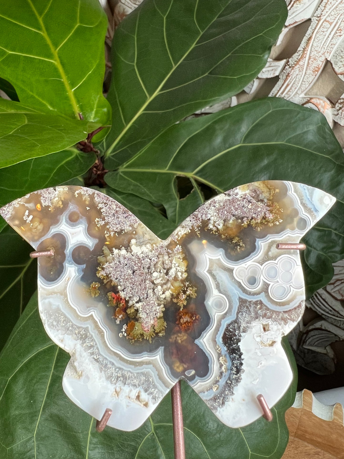 Scenic Moss Agate Butterfly