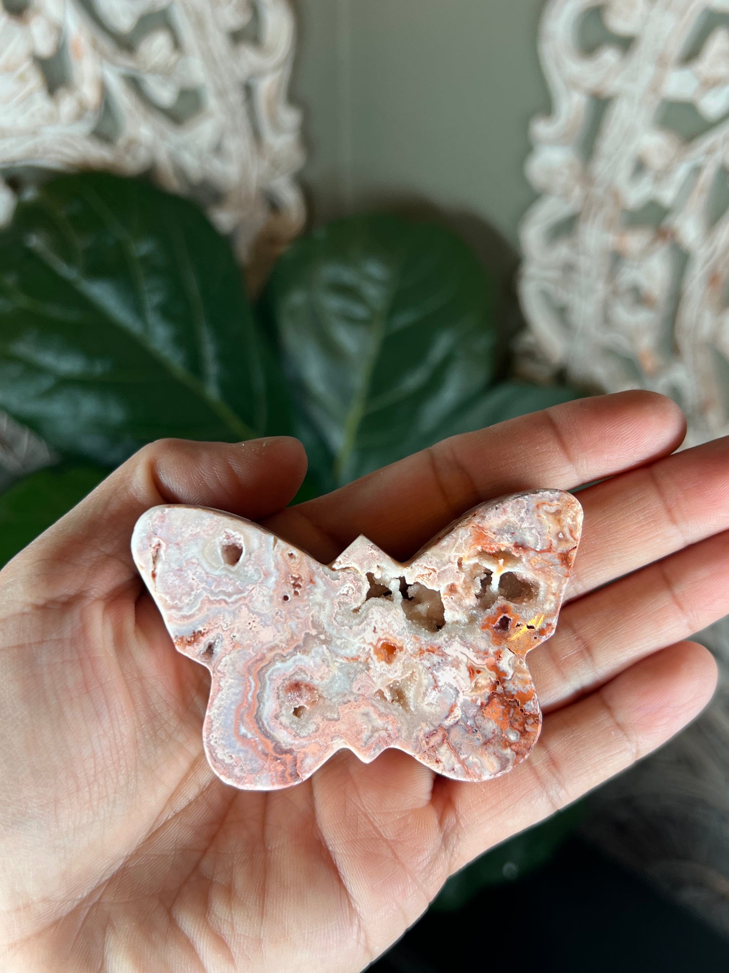 Crazy Lace Agate Butterfly