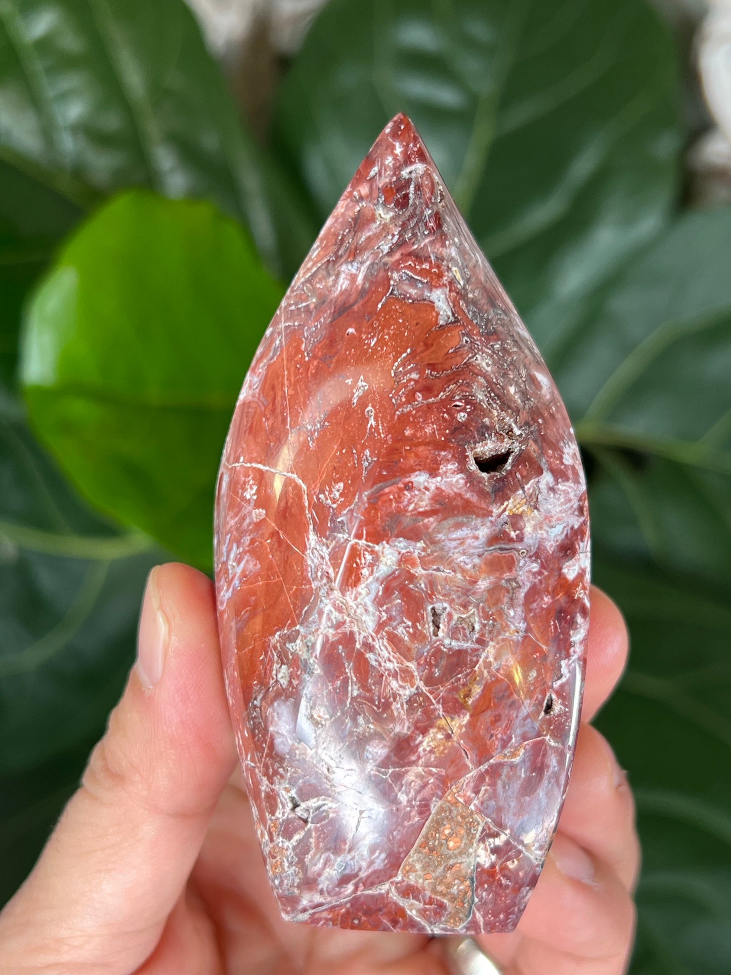 Red Scenic Jasper