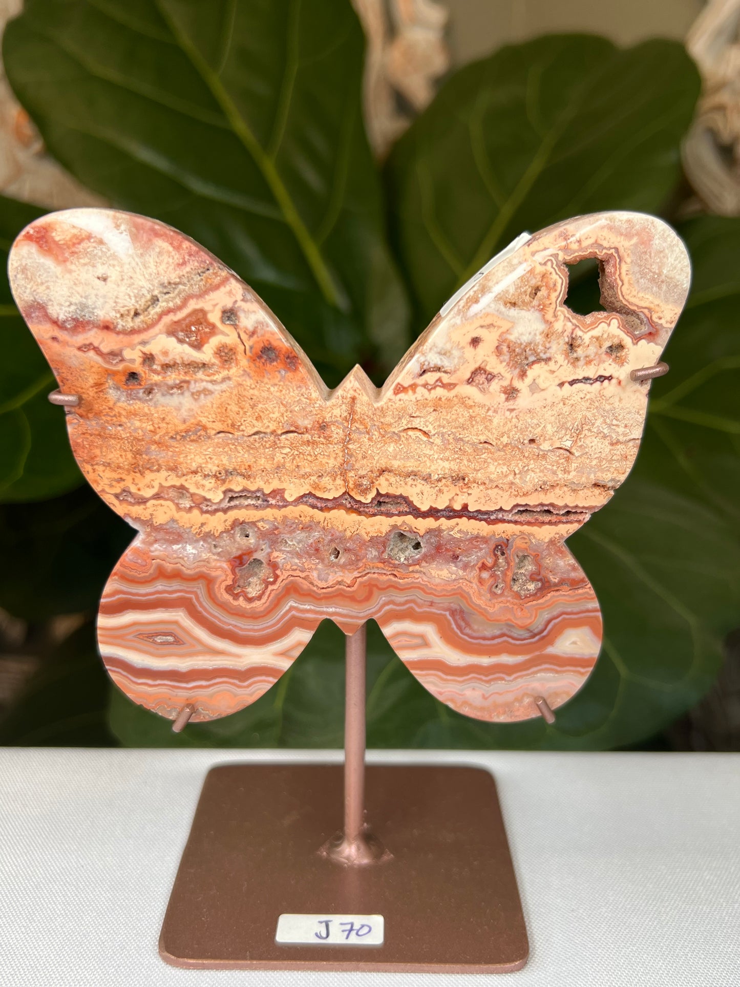 Crazy Lace Agate Butterfly