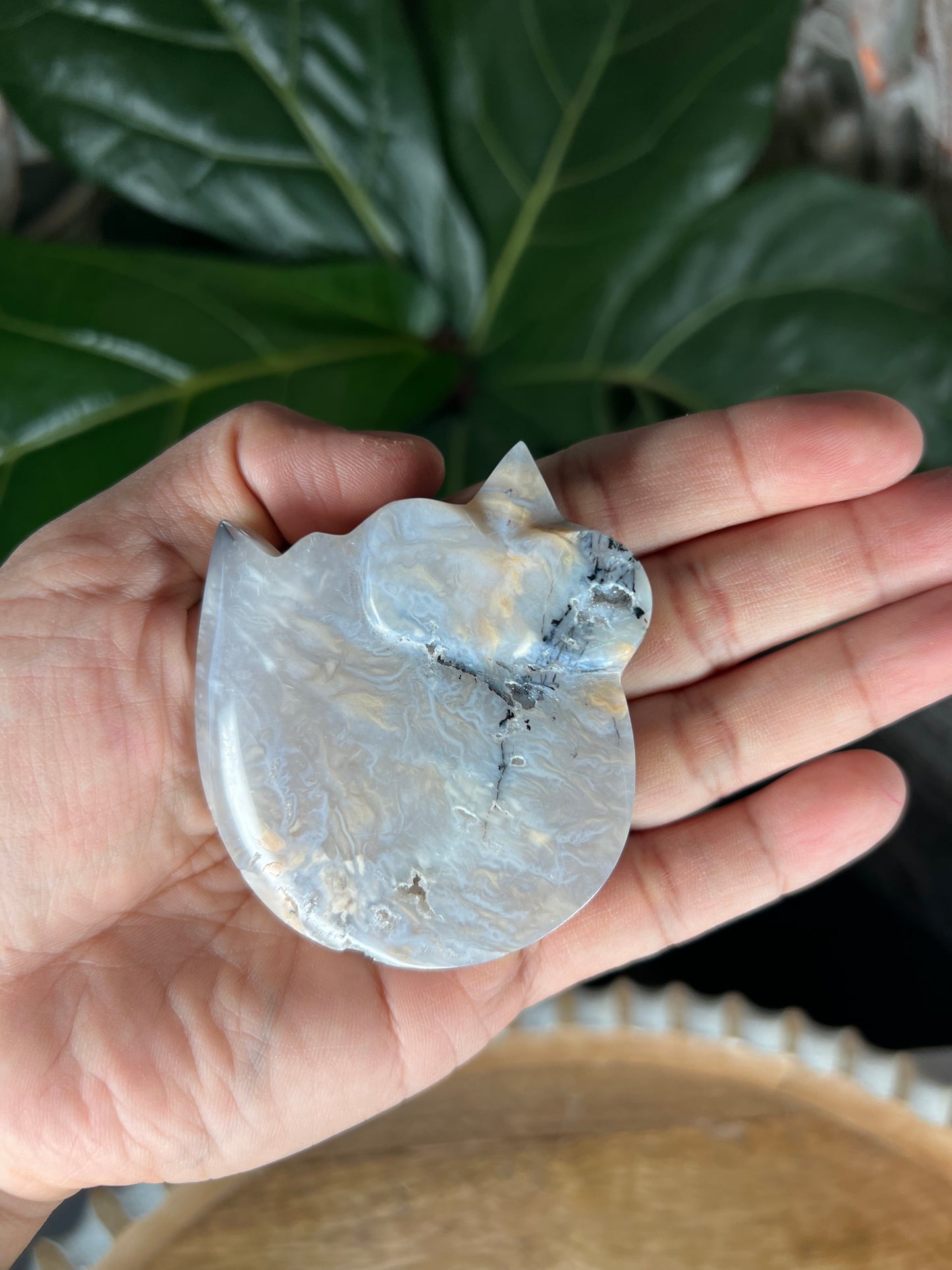 Tiger Dendritic Agate Cat