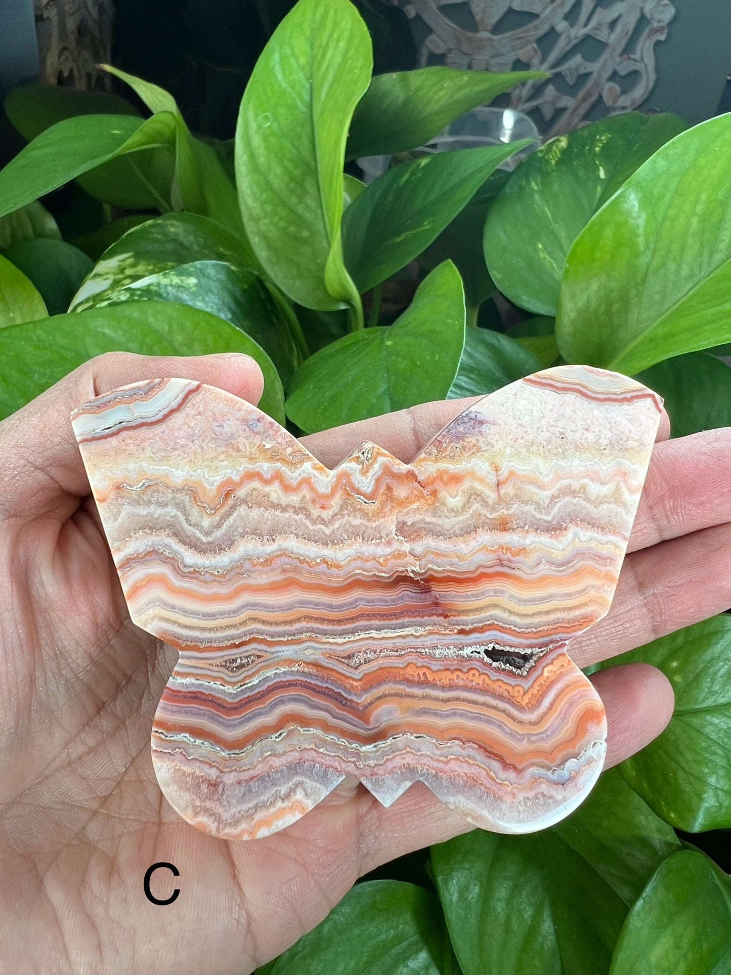 Crazy Lace Agate Butterfly