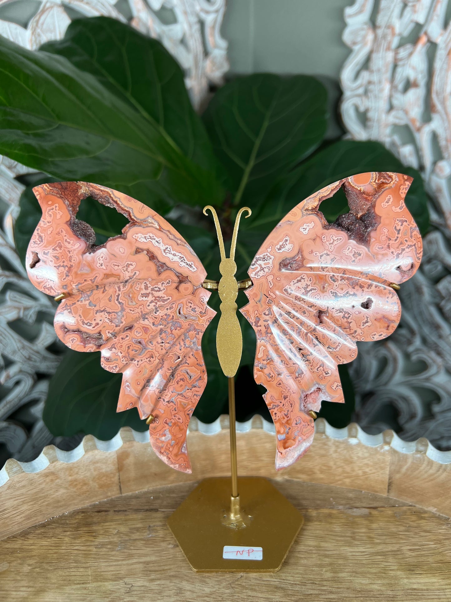 Crazy Lace Agate Wings