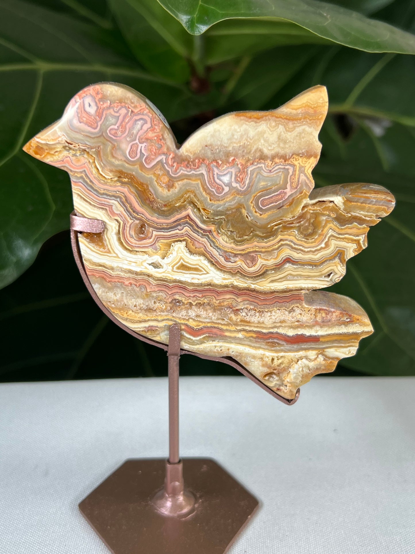 Crazy Lace Agate Bird