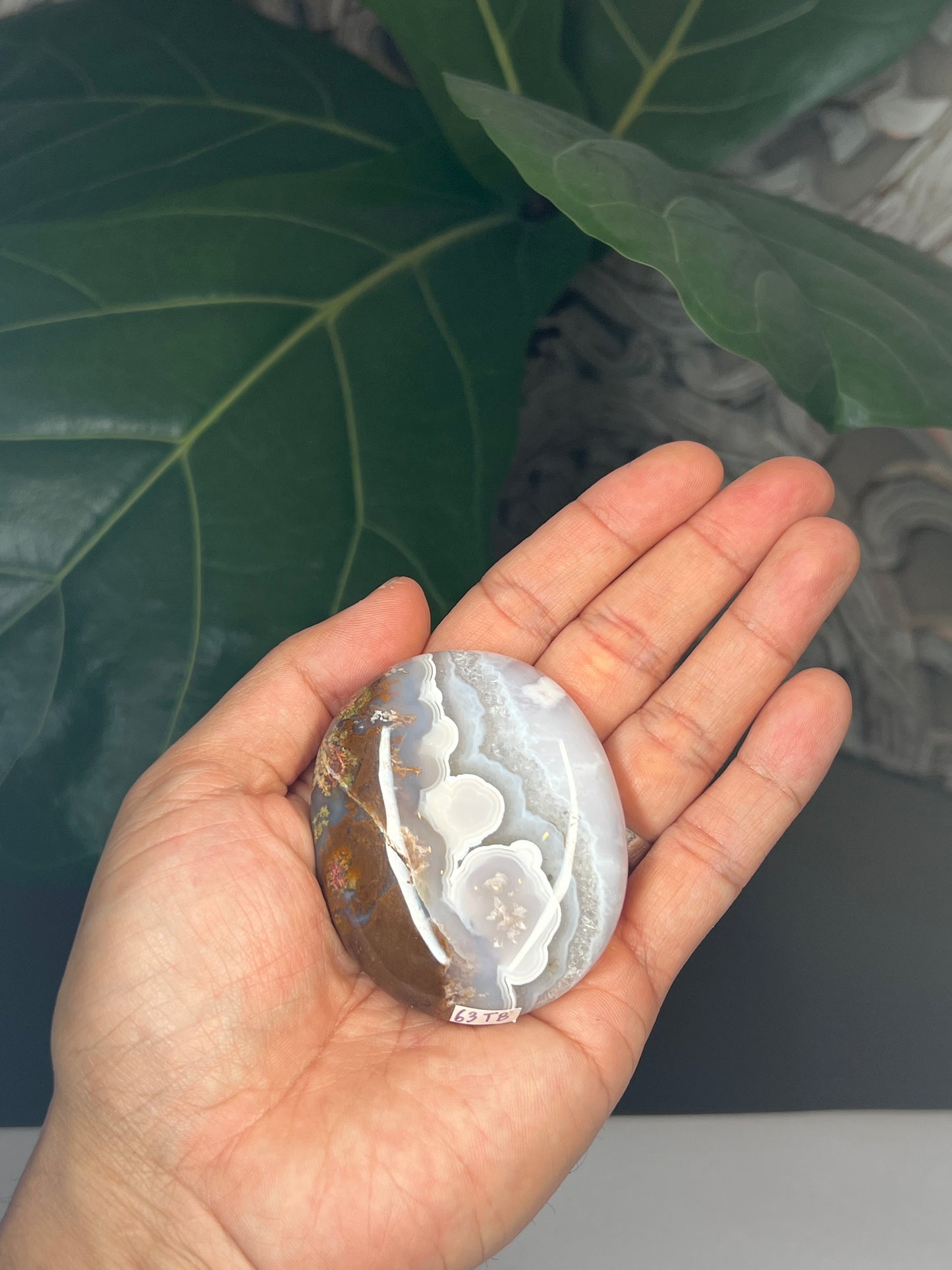 Scenic Moss Agate Palmstone