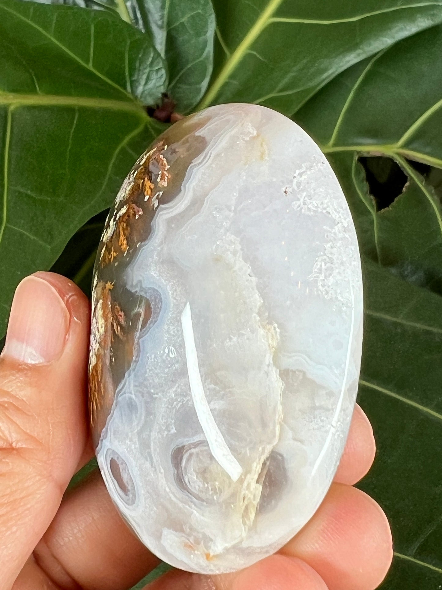 Scenic Moss Agate Palm Stone