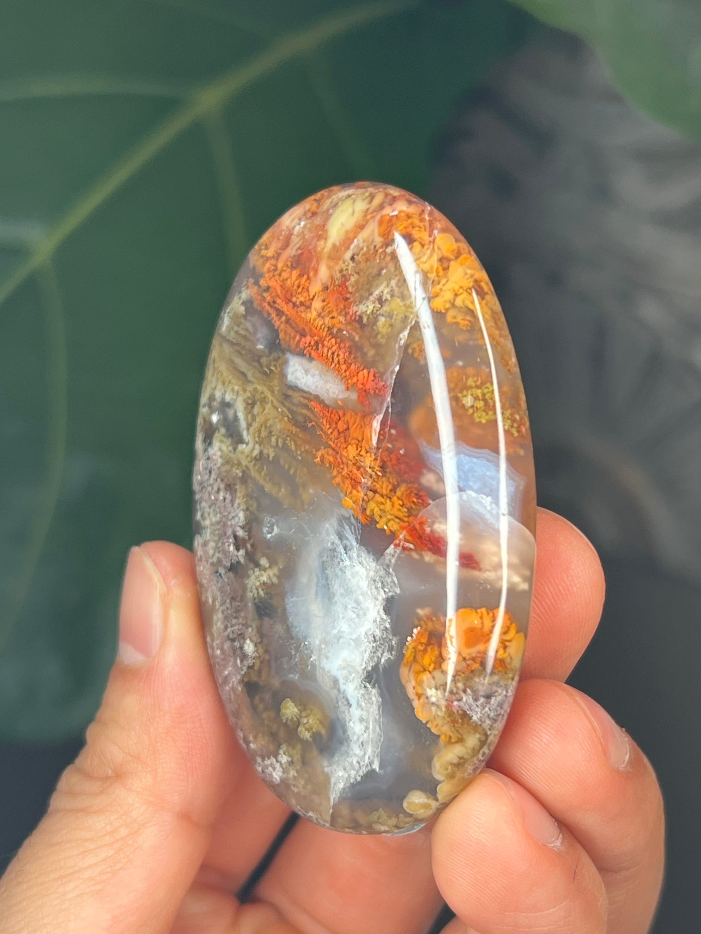 Scenic Moss Agate Palmstone