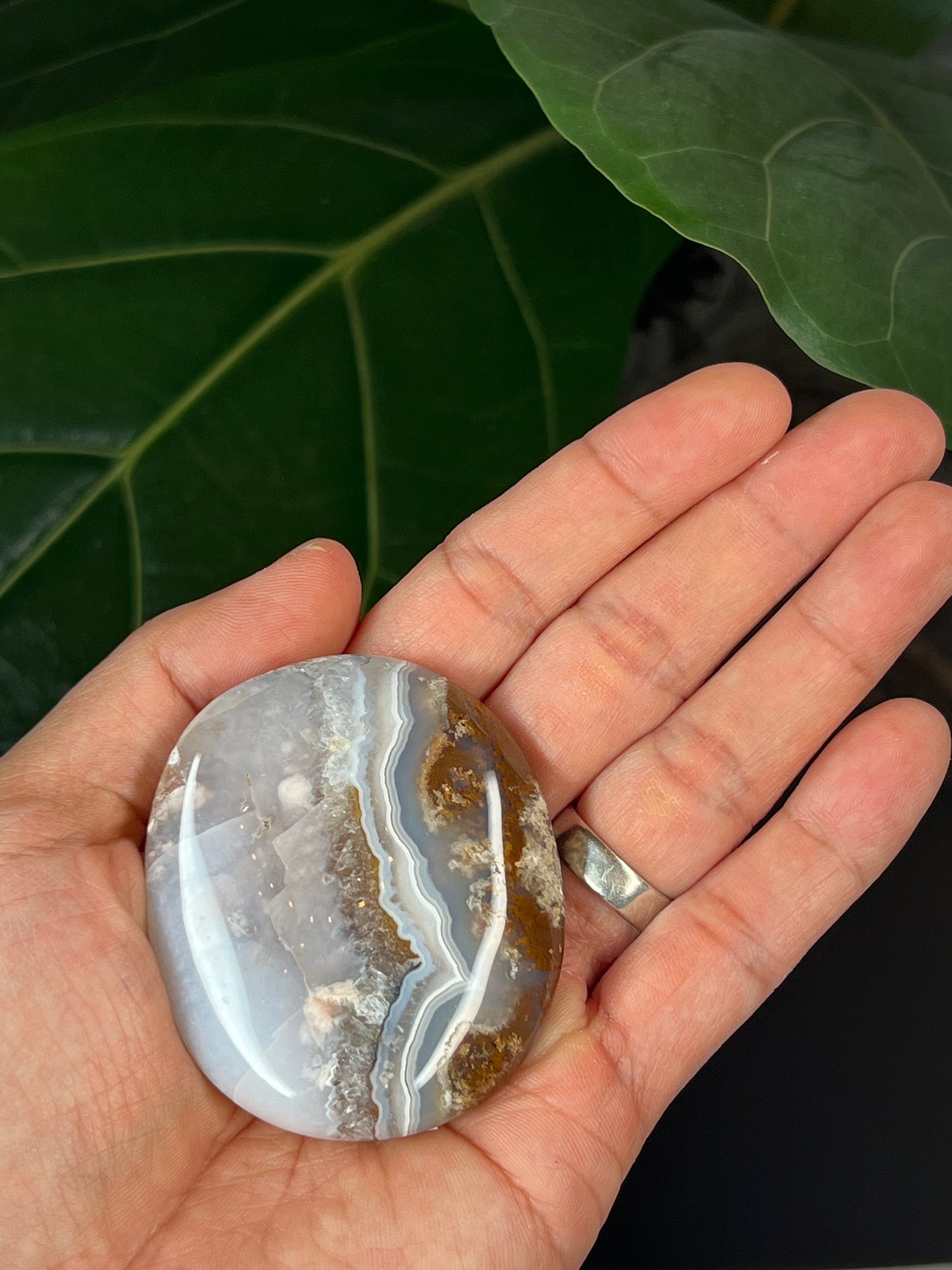 Scenic Moss Agate Palmstone