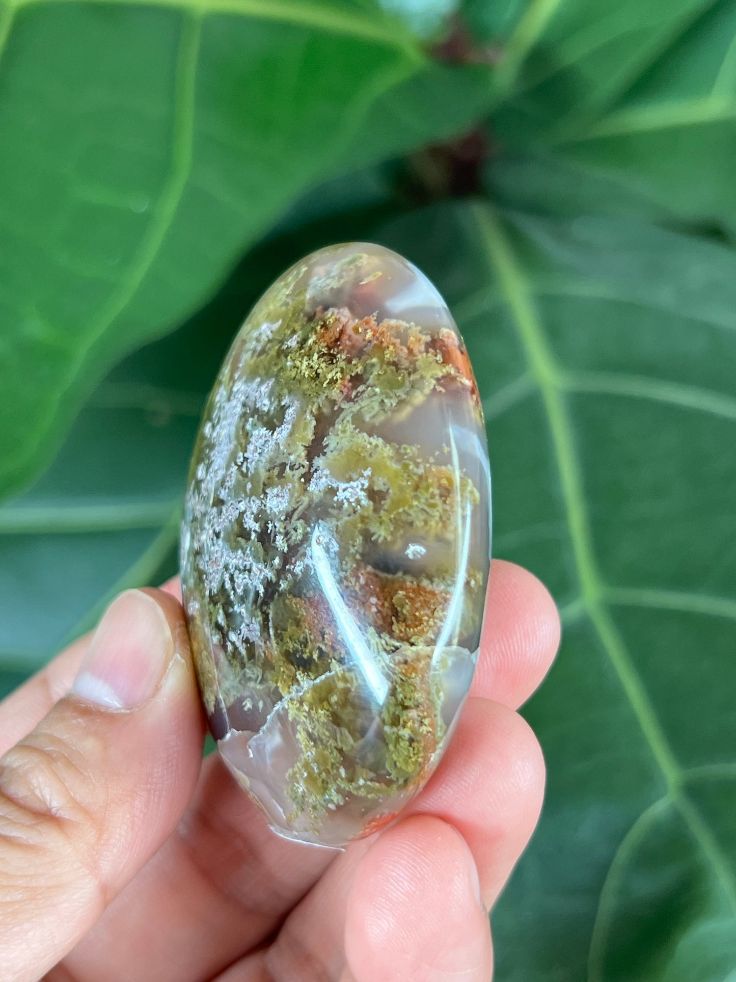 Scenic Moss Agate Palm Stone