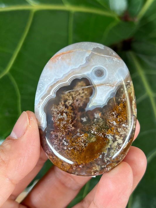 Scenic Moss Agate Palm Stone