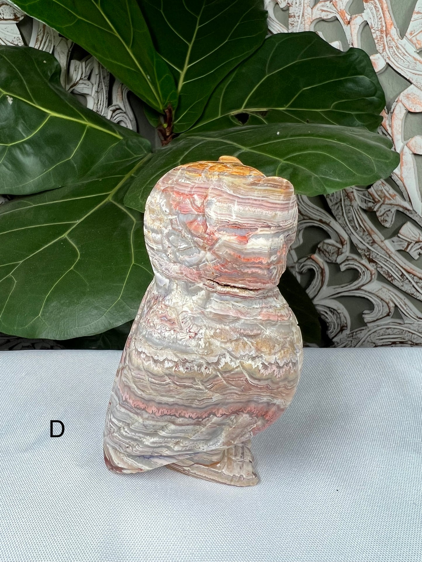 Crazy Lace Agate Owl