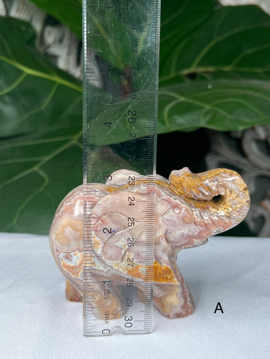 Crazy Lace Agate Elephants