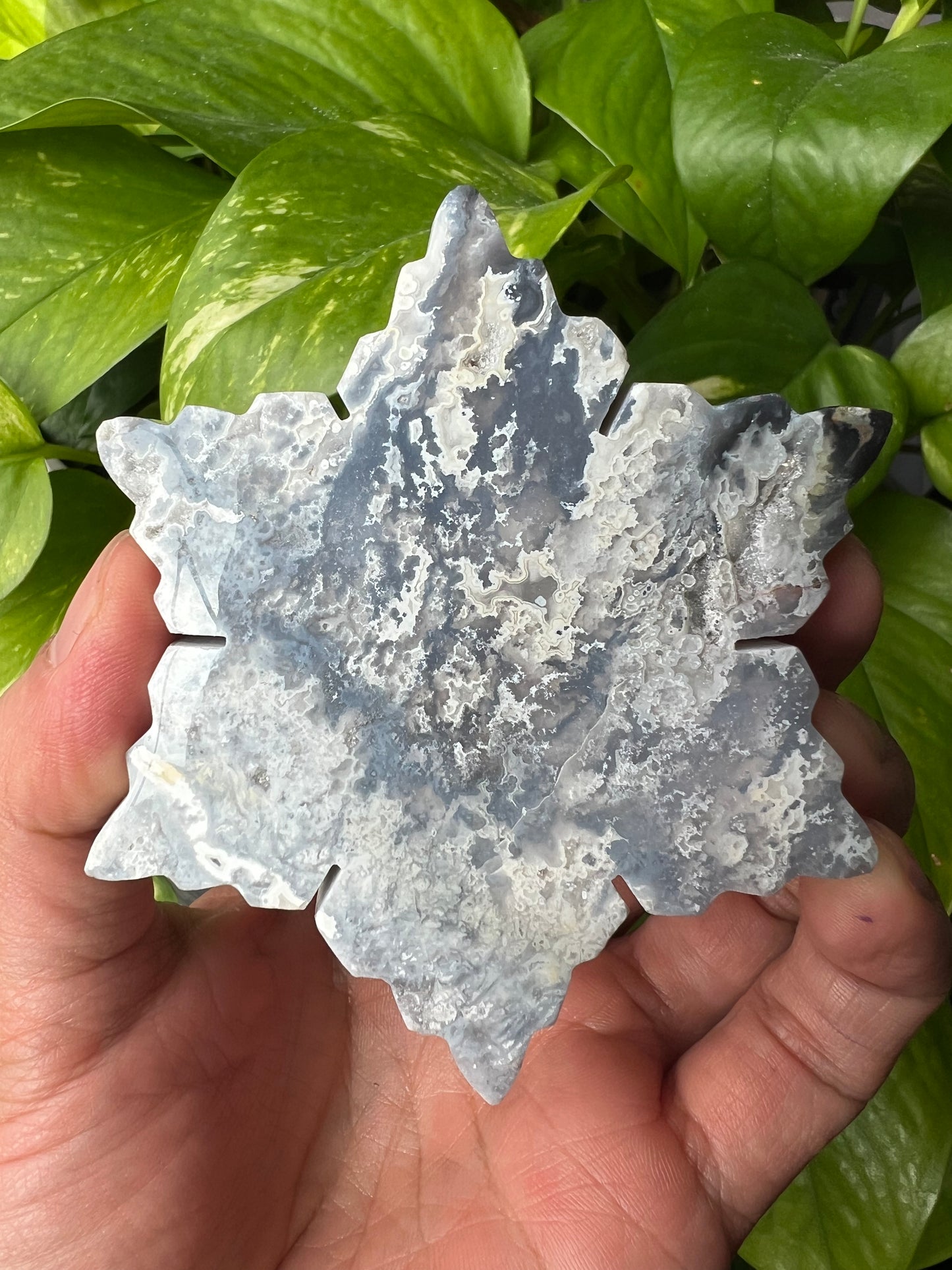 Blue Plume Agate Snowflake