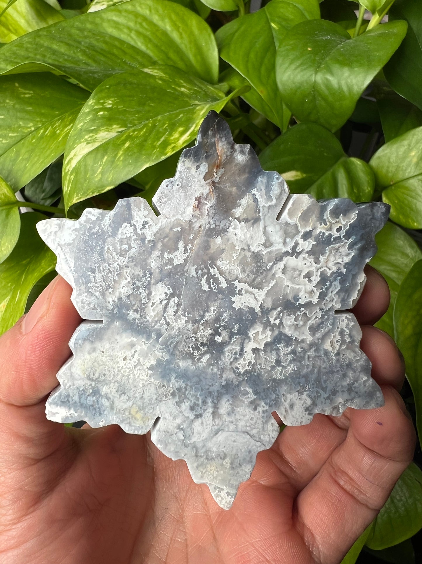 Blue Plume Agate Snowflake