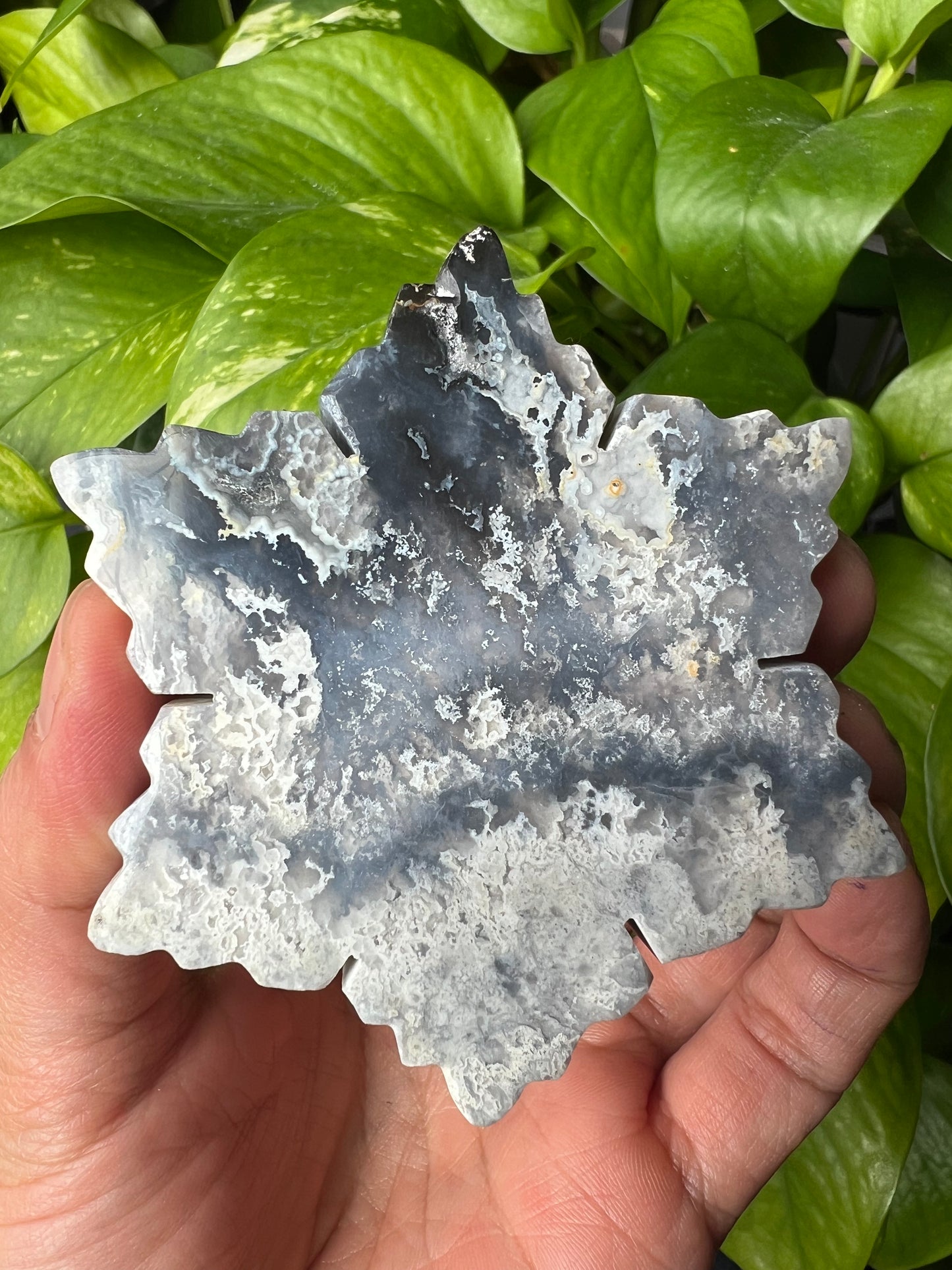 Blue Plume Agate Snowflake