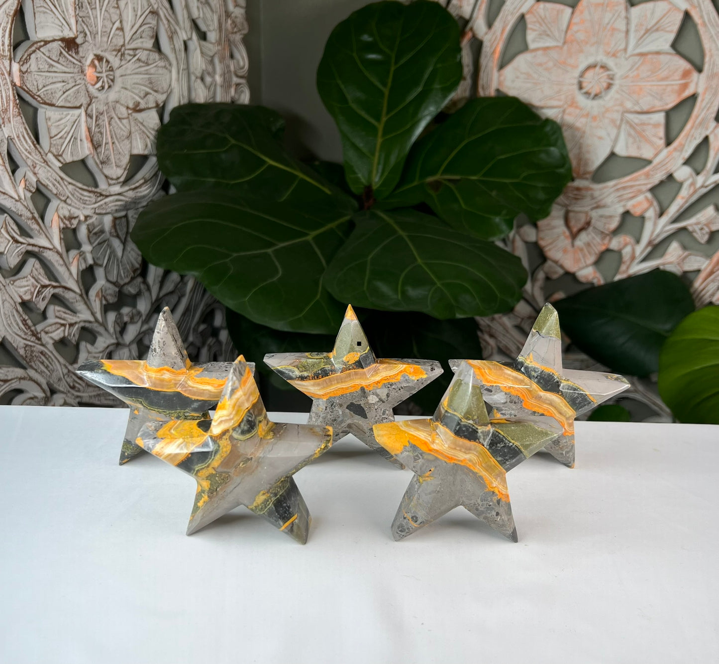 Bumblebee Jasper Stars