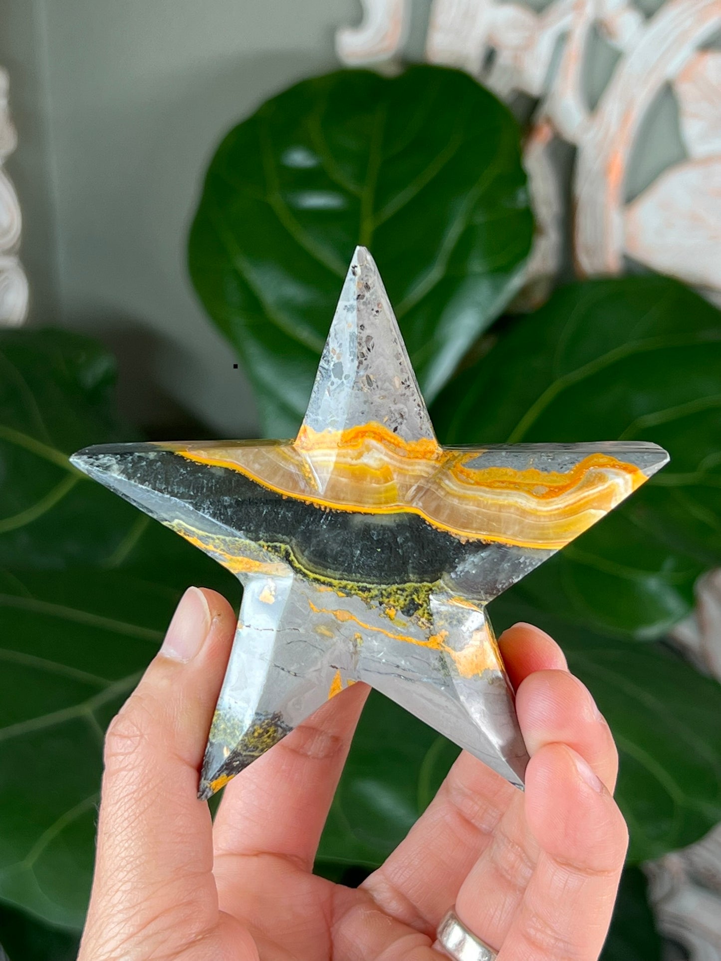 Bumblebee Jasper Stars