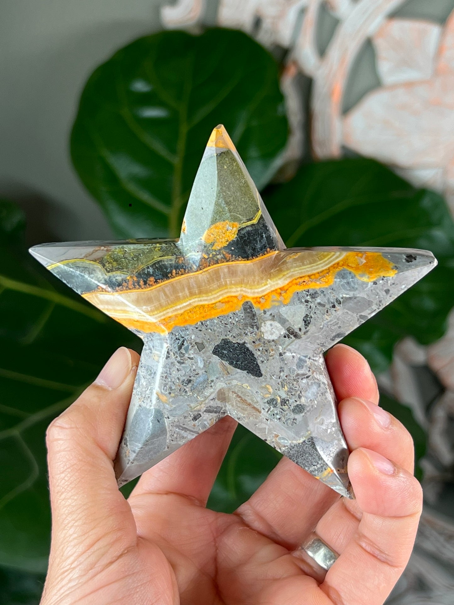 Bumblebee Jasper Stars