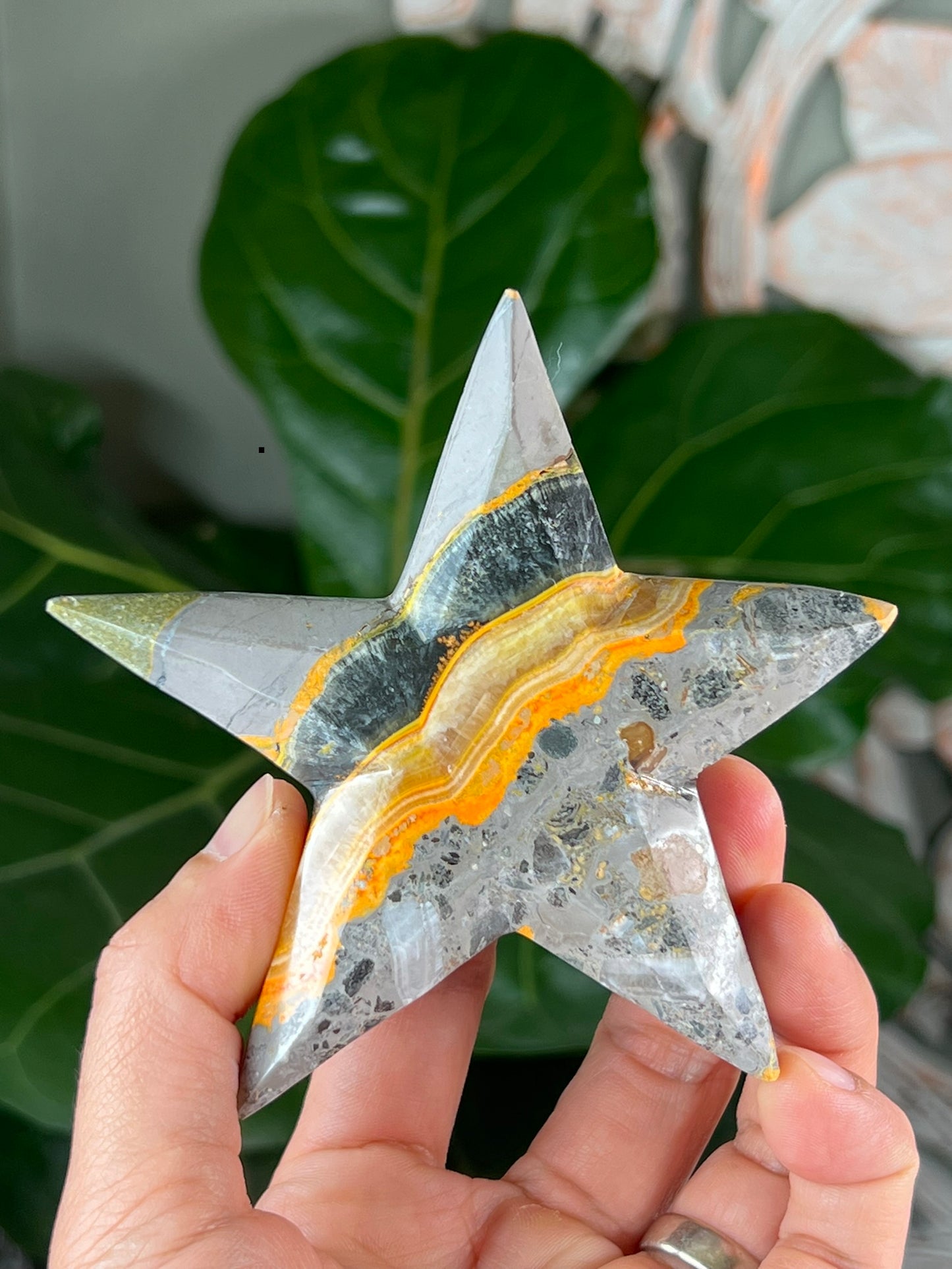 Bumblebee Jasper Stars