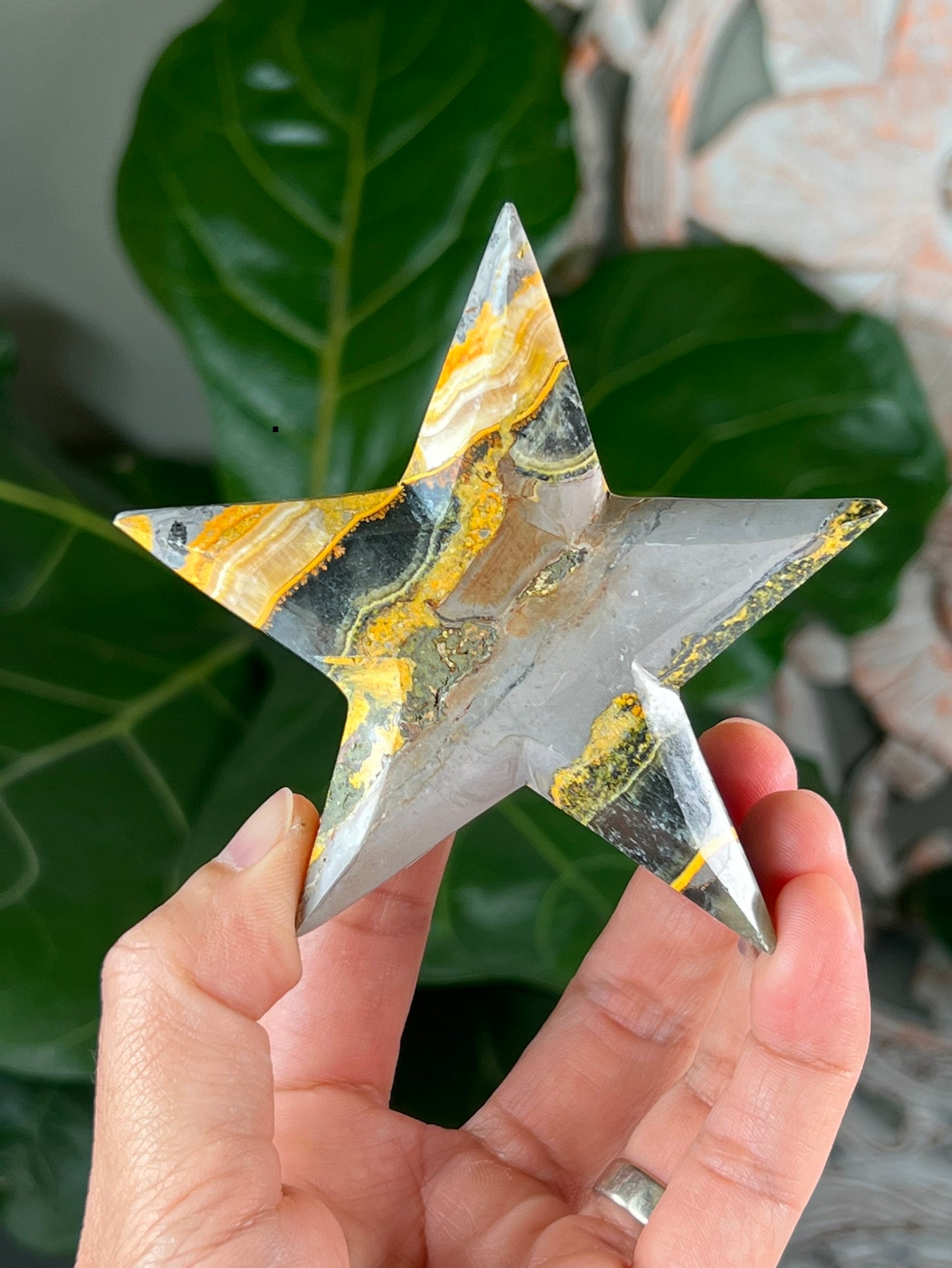 Bumblebee Jasper Stars