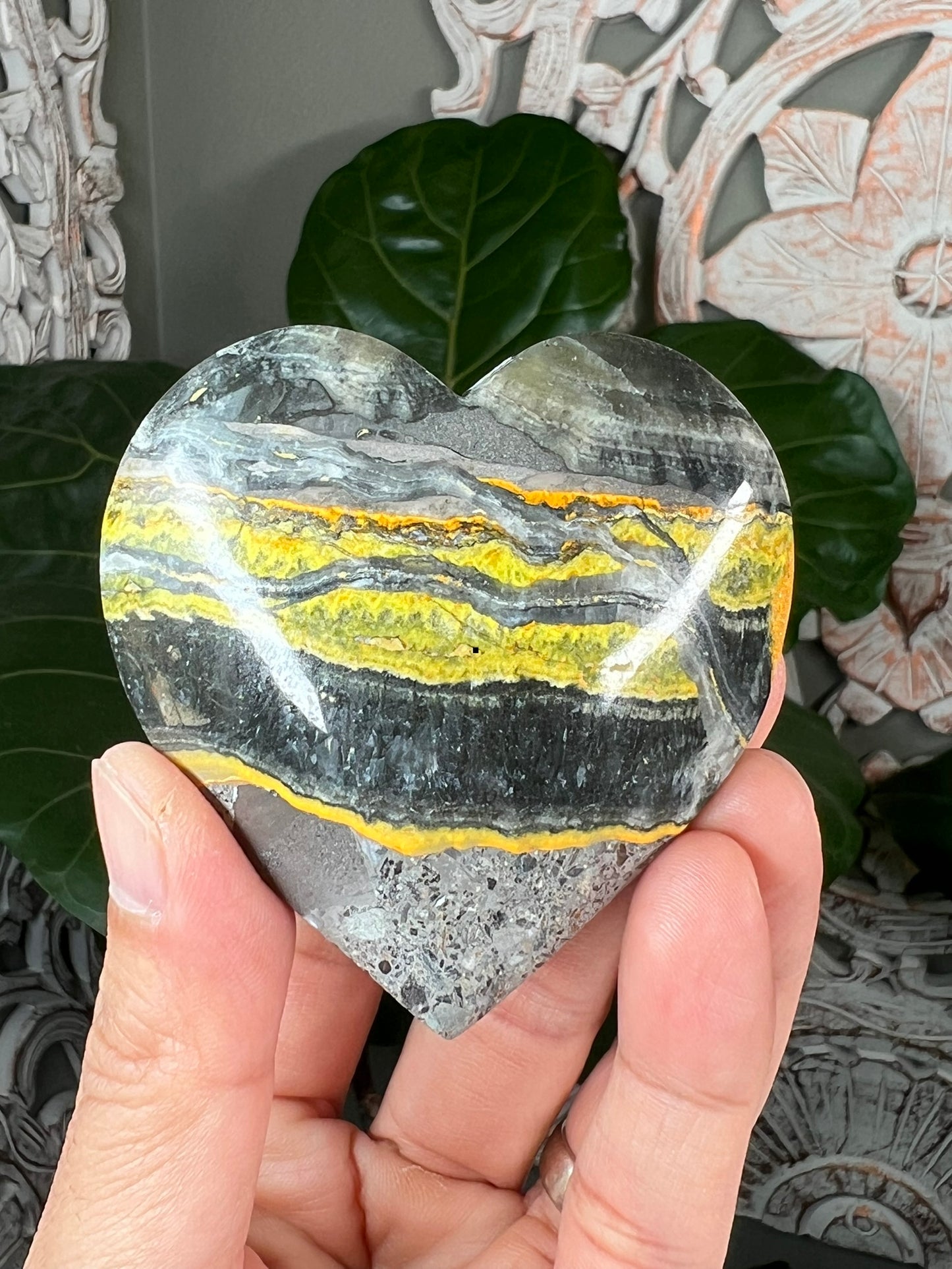 Bumblebee Jasper Hearts