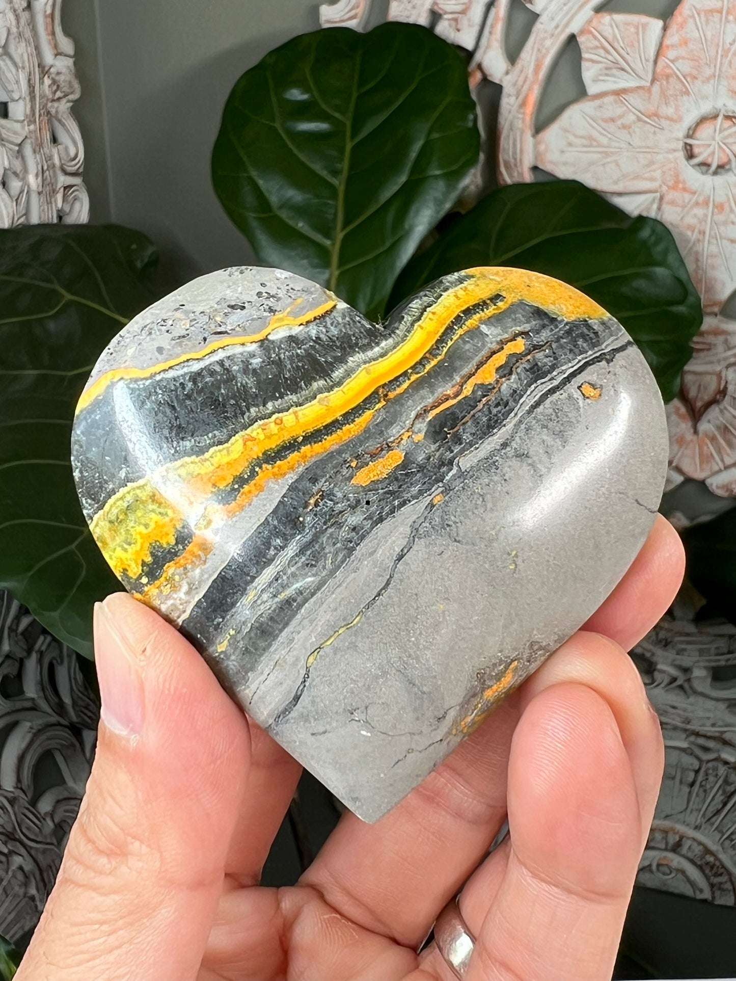 Bumblebee Jasper Hearts