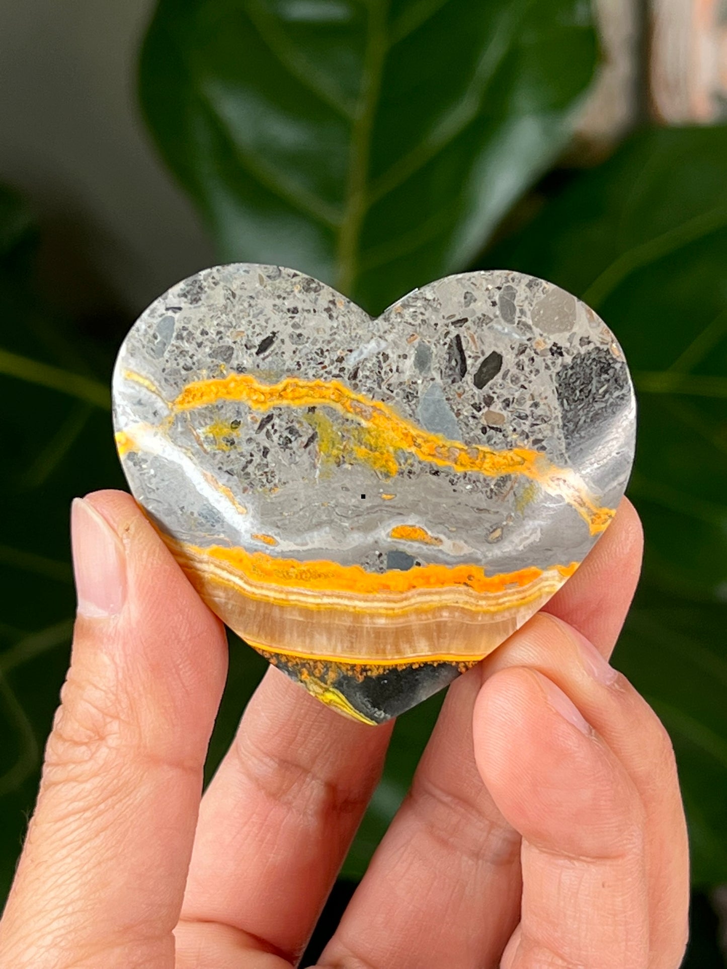 Bumblebee Jasper Hearts