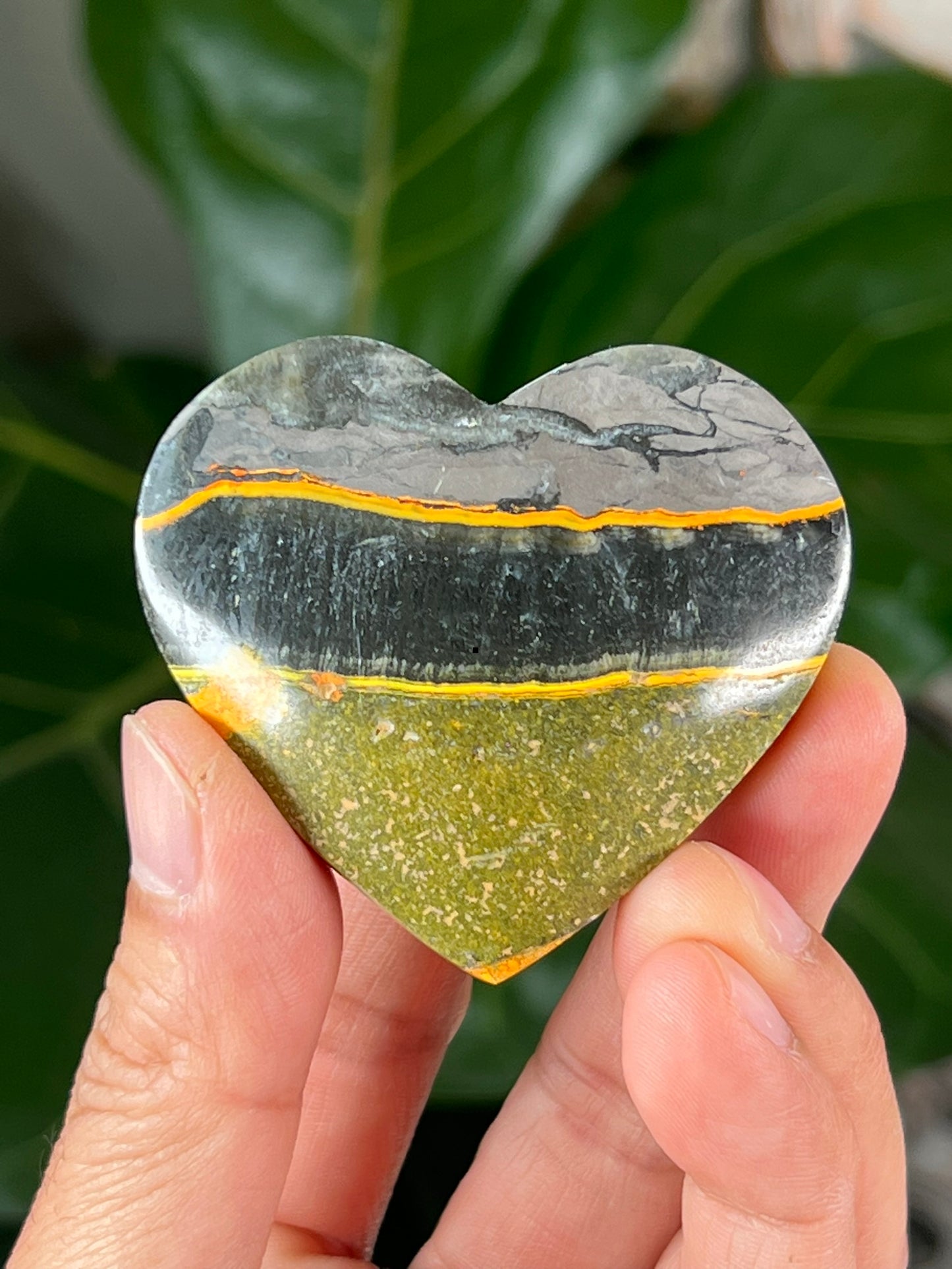 Bumblebee Jasper Hearts