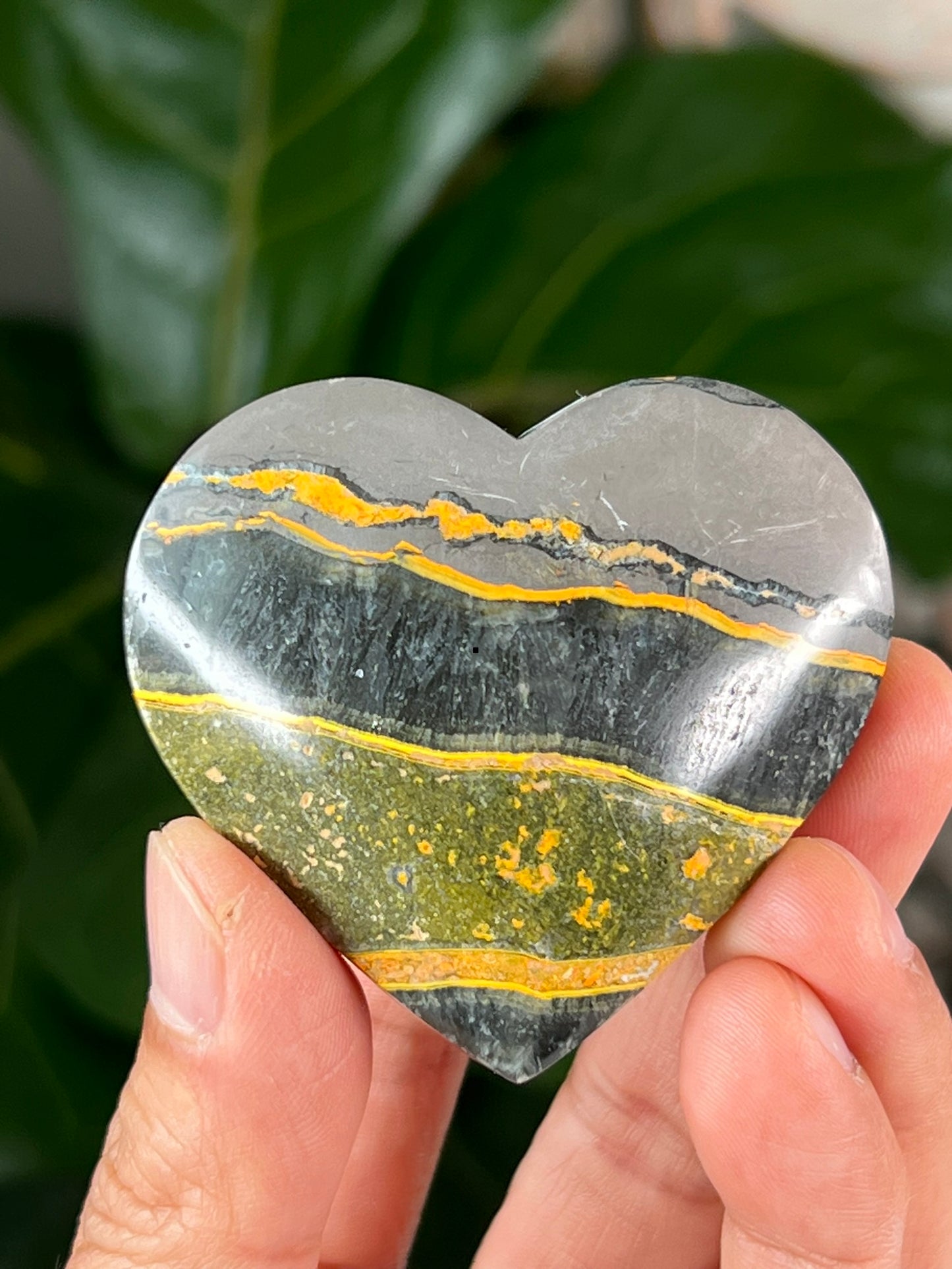 Bumblebee Jasper Hearts