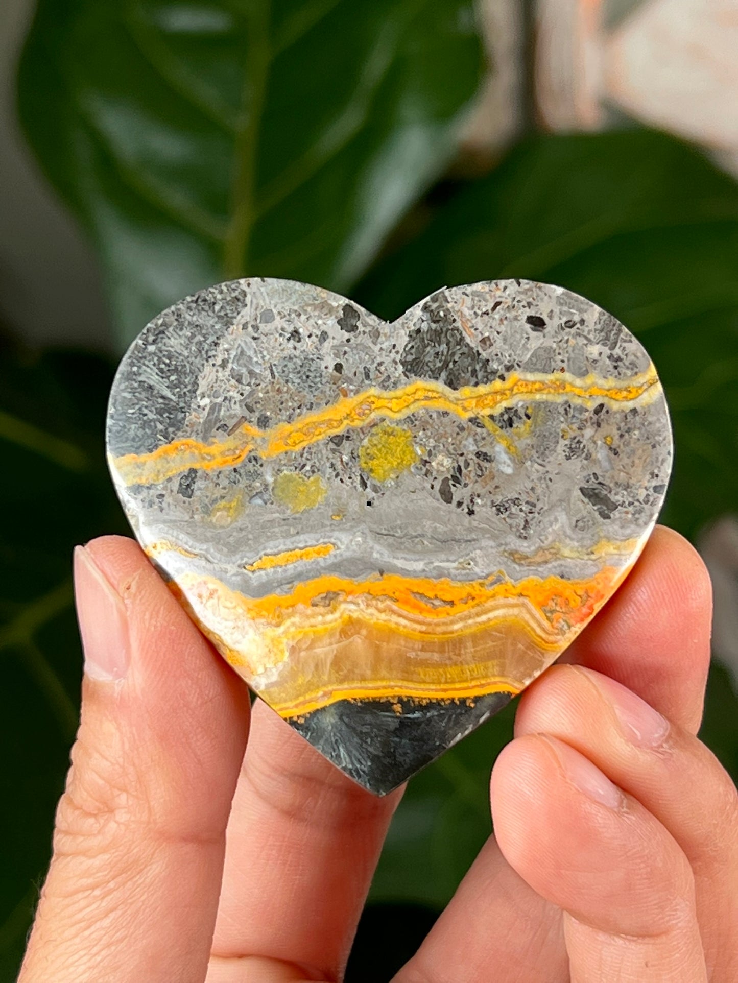 Bumblebee Jasper Hearts