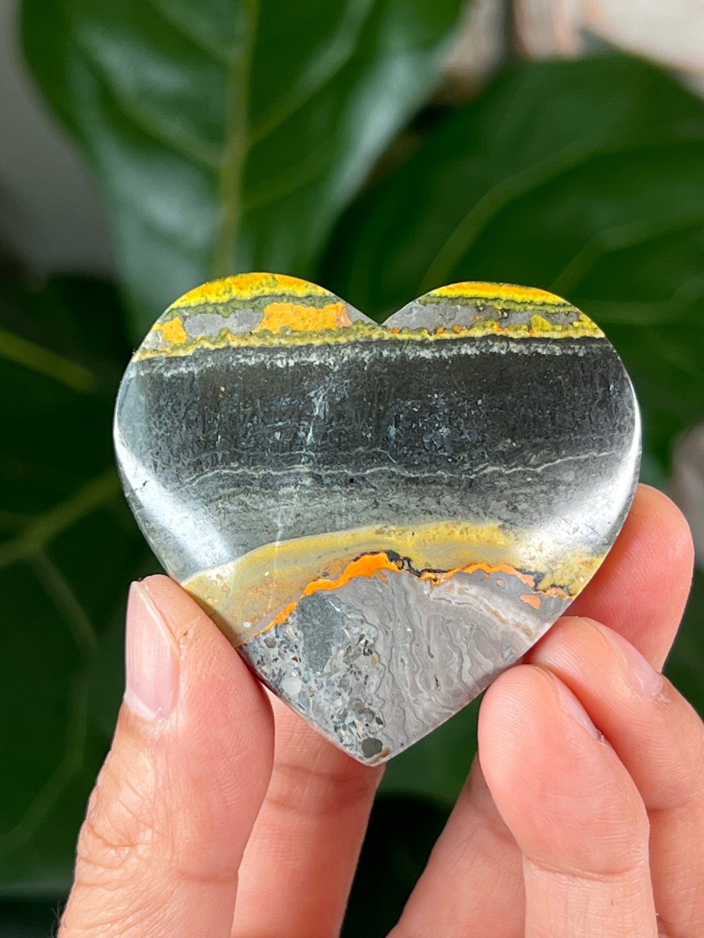 Bumblebee Jasper Hearts