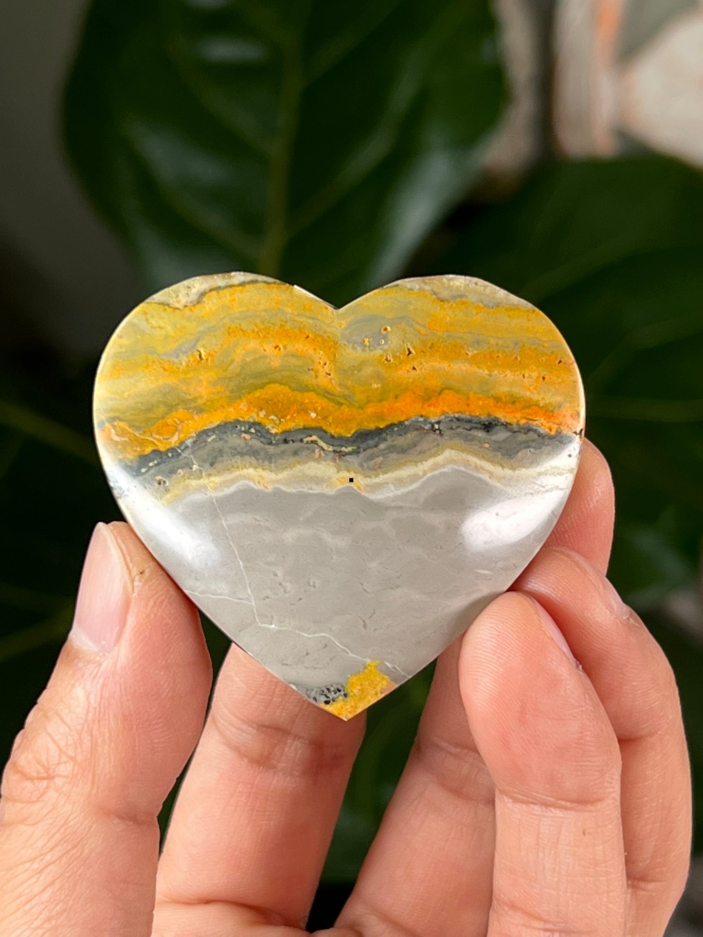 Bumblebee Jasper Hearts