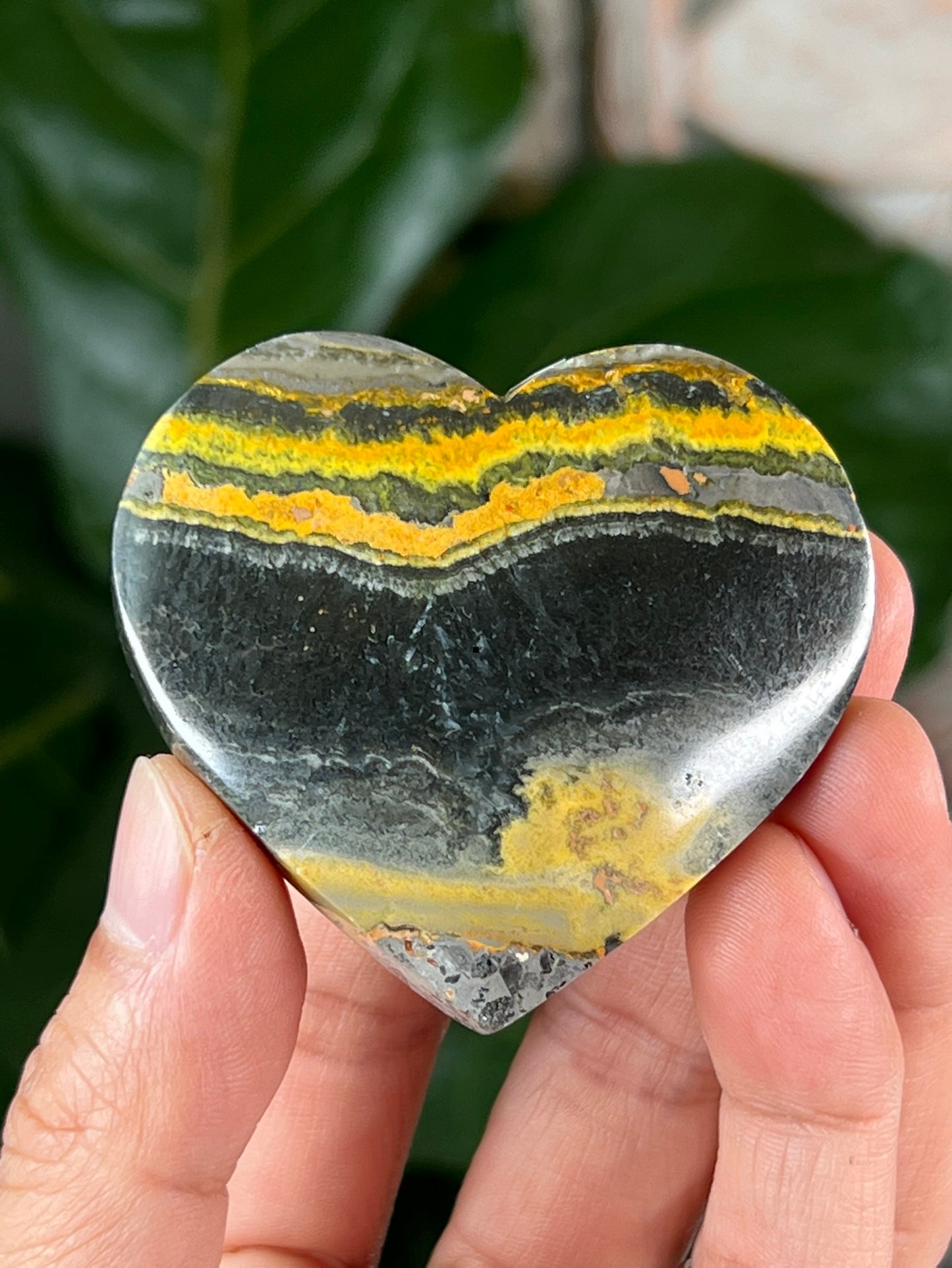 Bumblebee Jasper Hearts