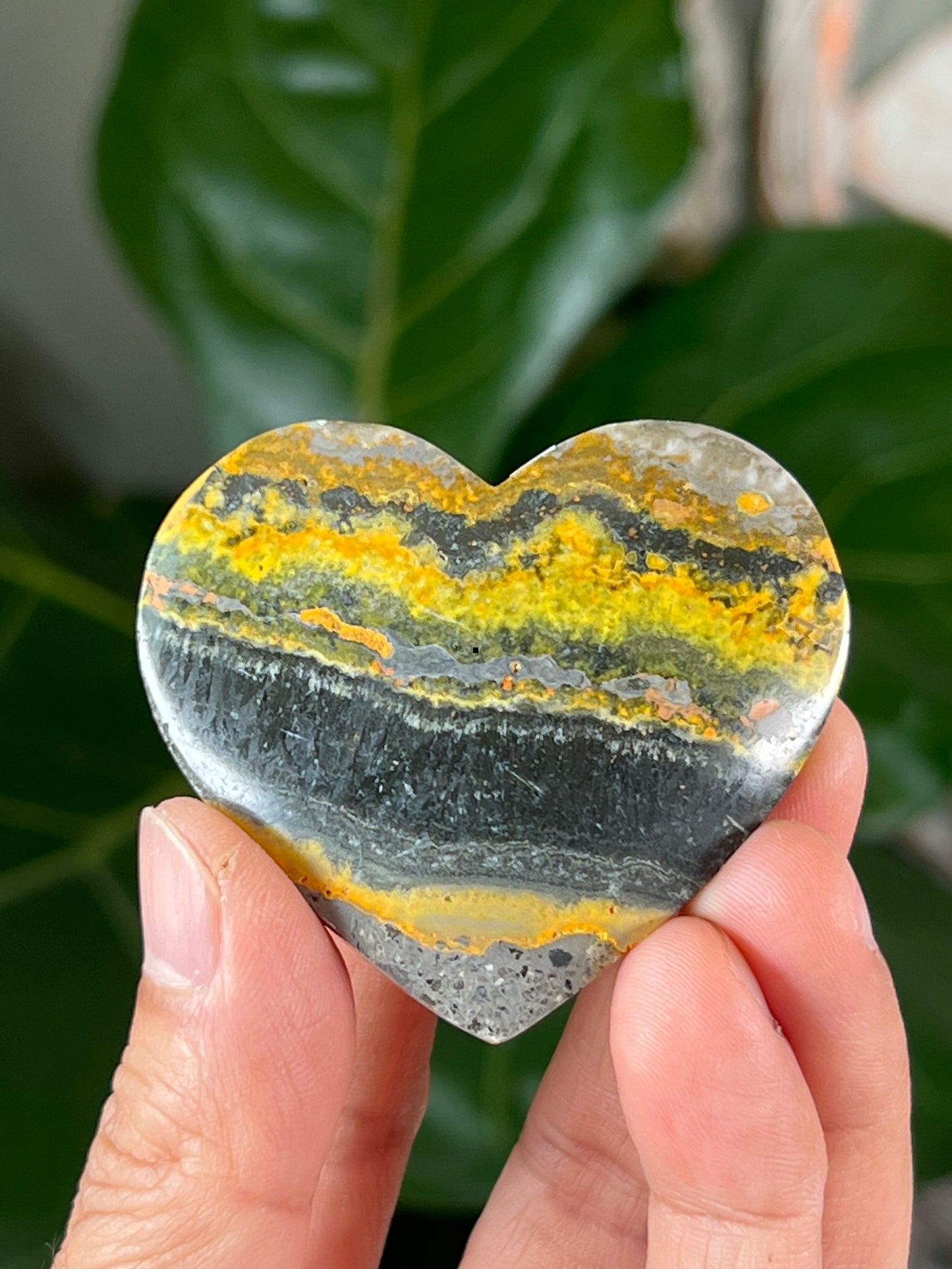 Bumblebee Jasper Hearts