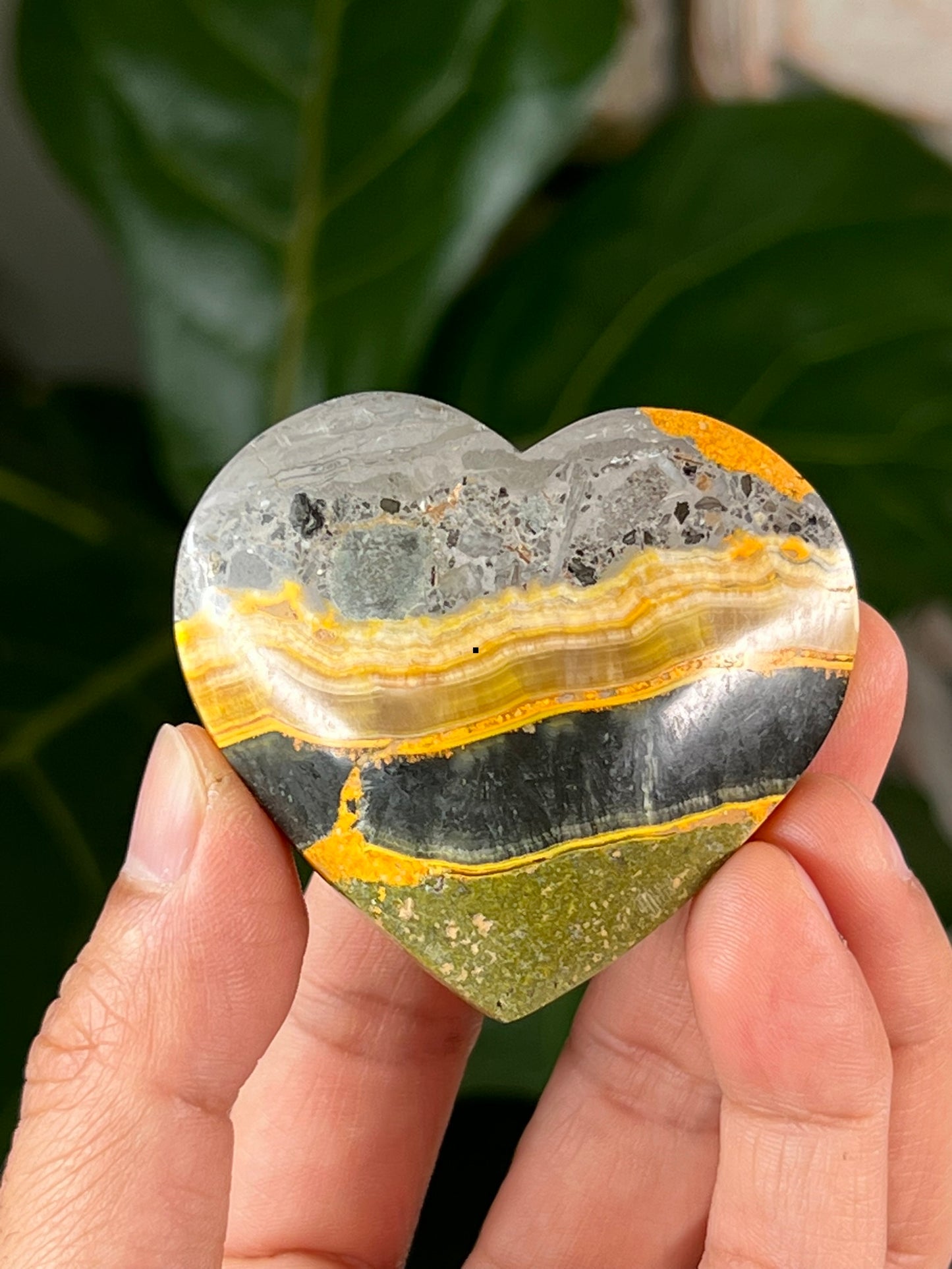 Bumblebee Jasper Hearts