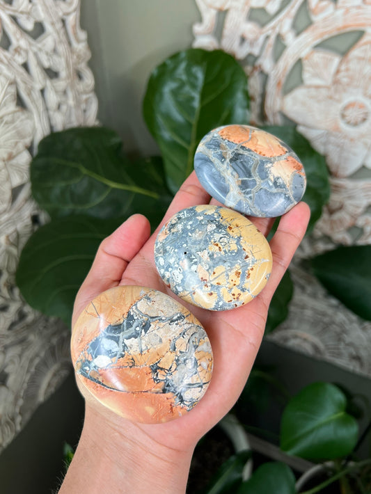 Maligano Jasper Palmstones