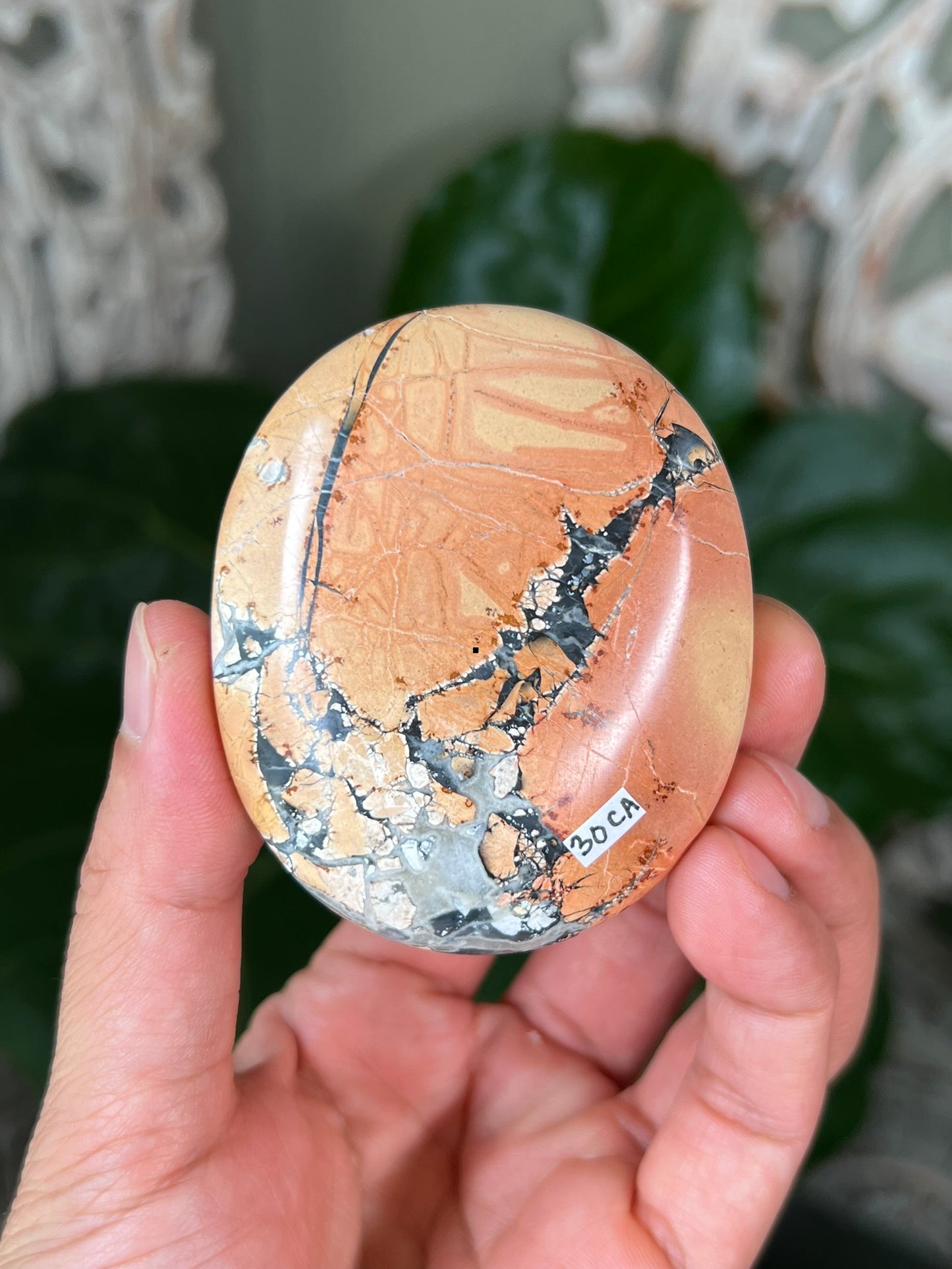 Maligano Jasper Palmstones