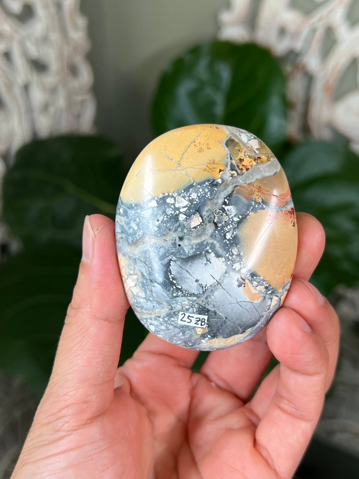 Maligano Jasper Palmstones