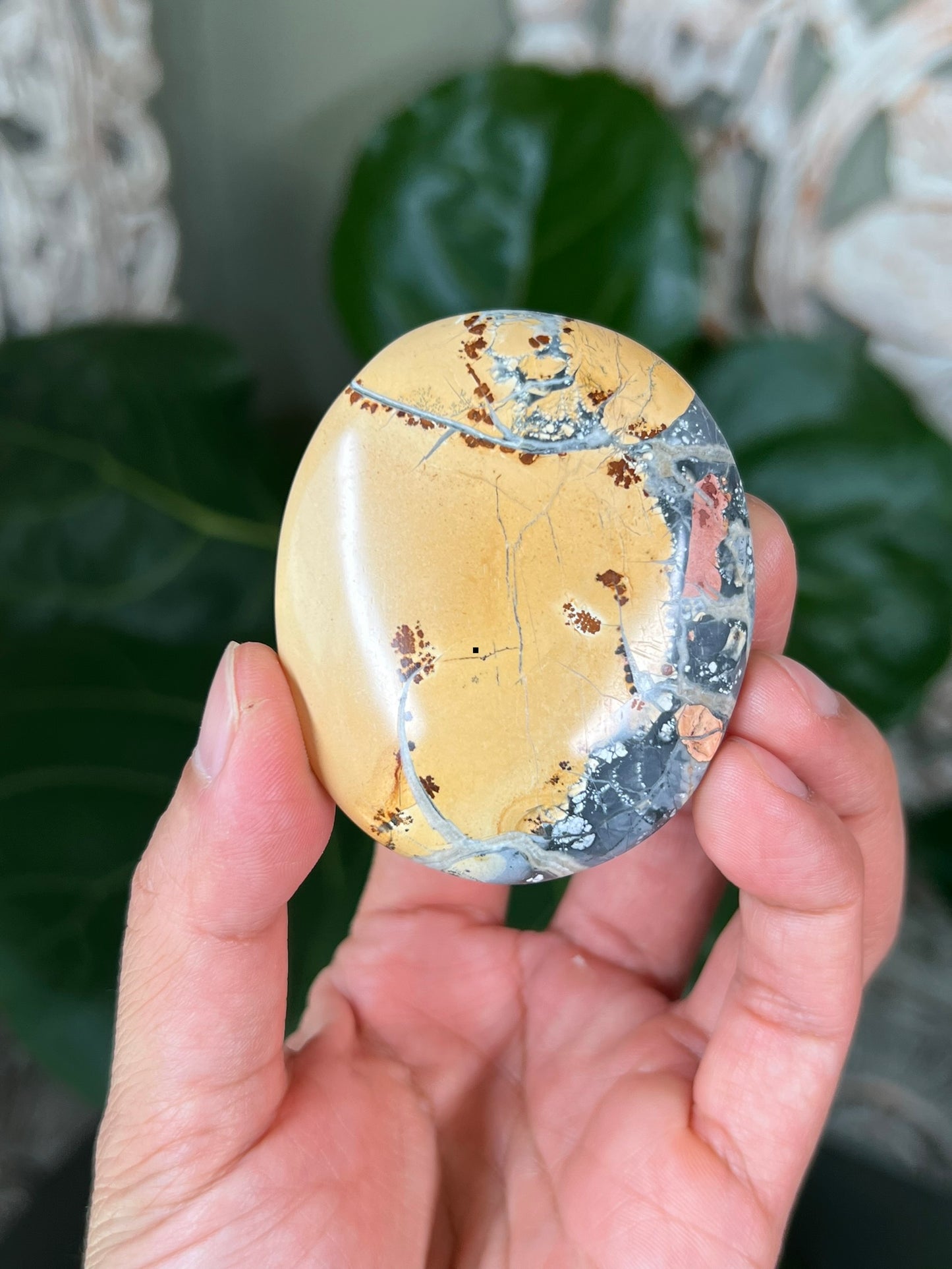 Maligano Jasper Palmstones