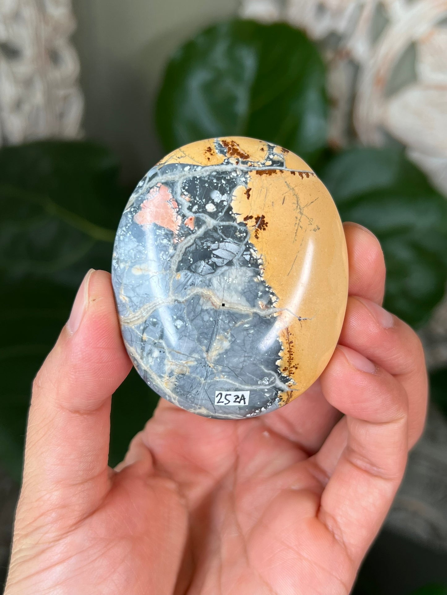 Maligano Jasper Palmstones