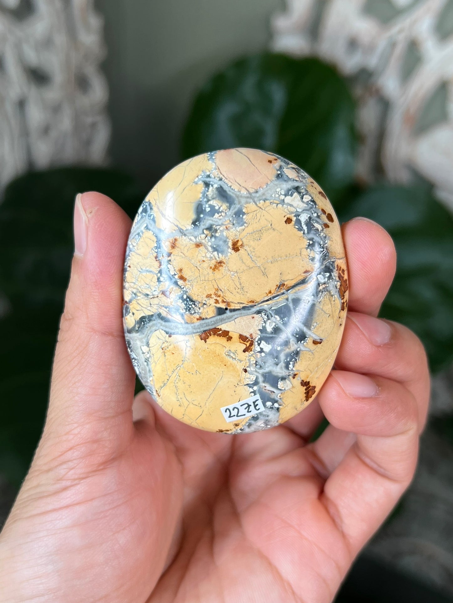 Maligano Jasper Palmstones