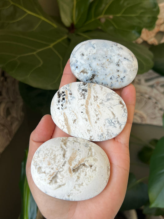 Dendritic Agate Palmstones