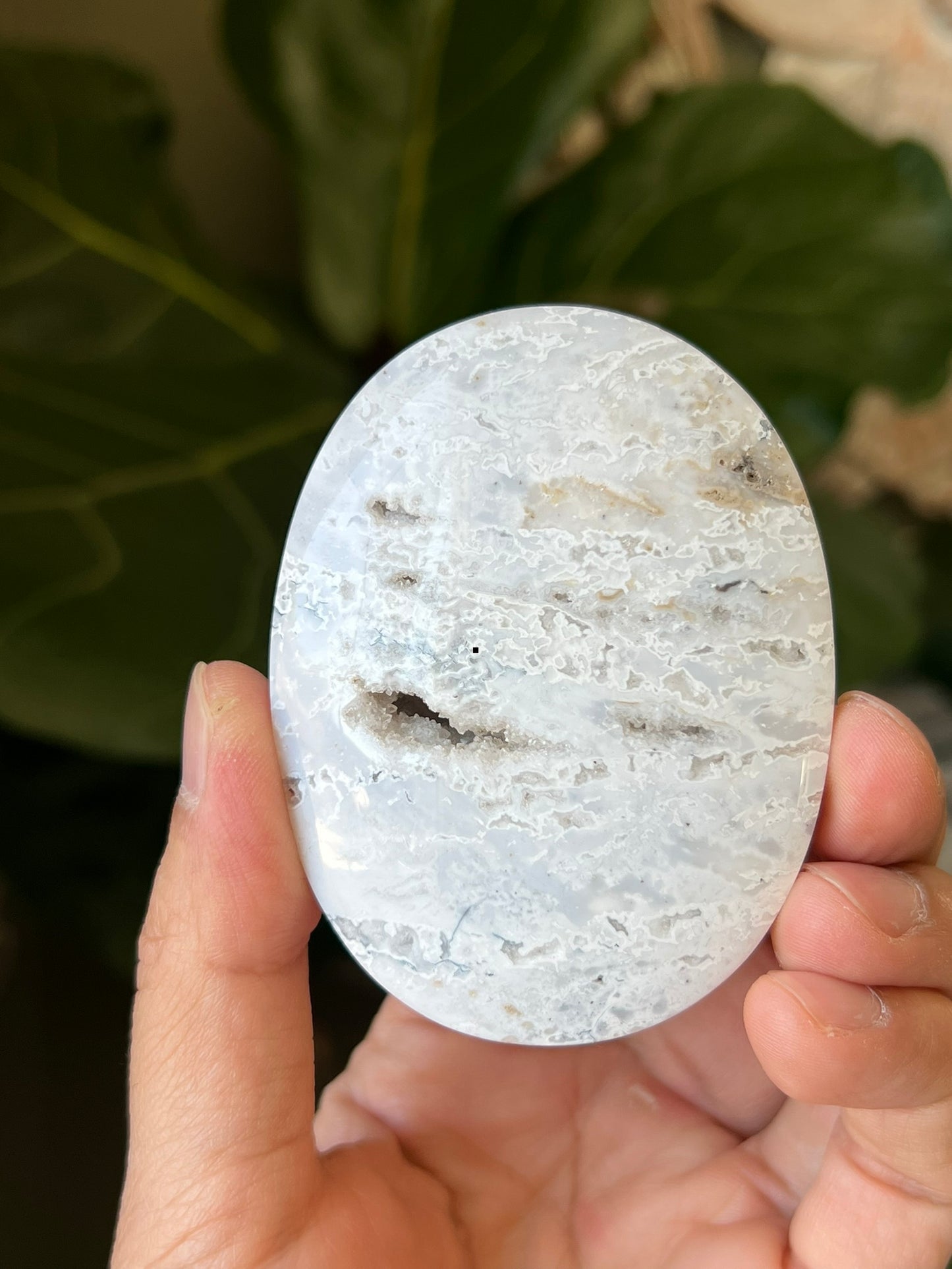 Dendritic Agate Palmstones