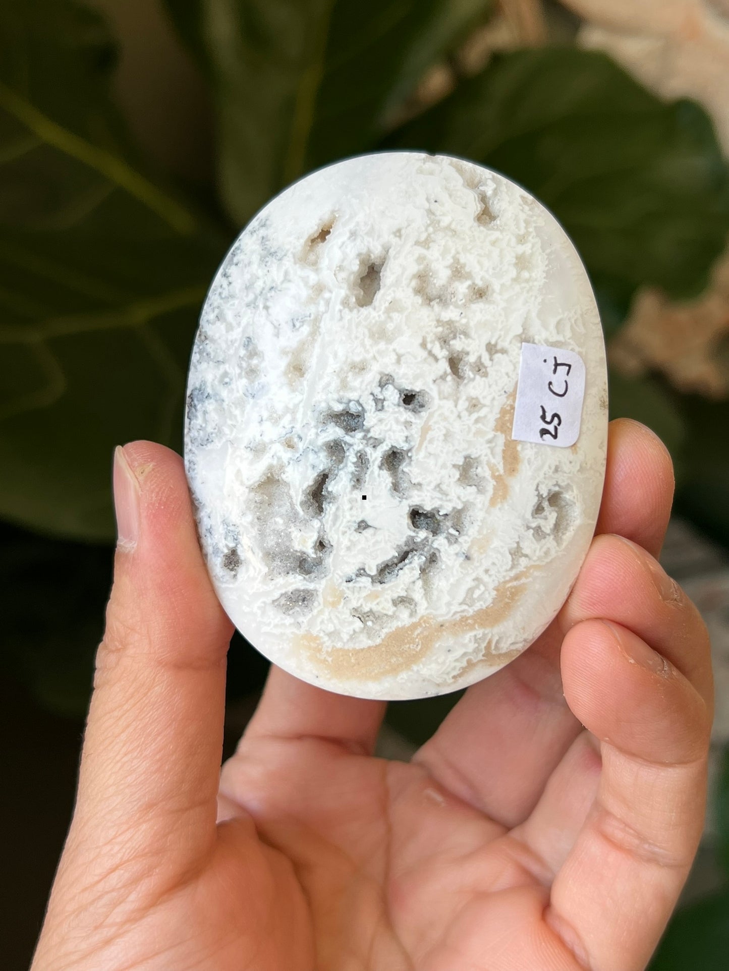 Dendritic Agate Palmstones