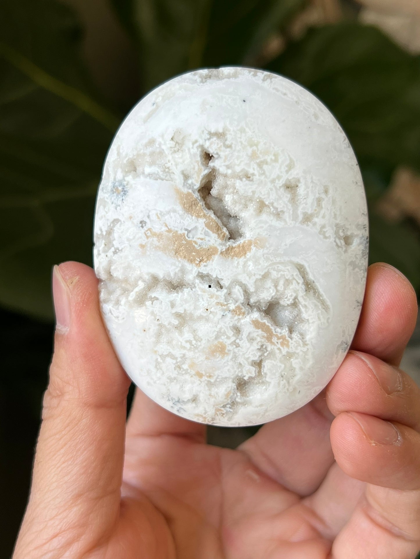 Dendritic Agate Palmstones